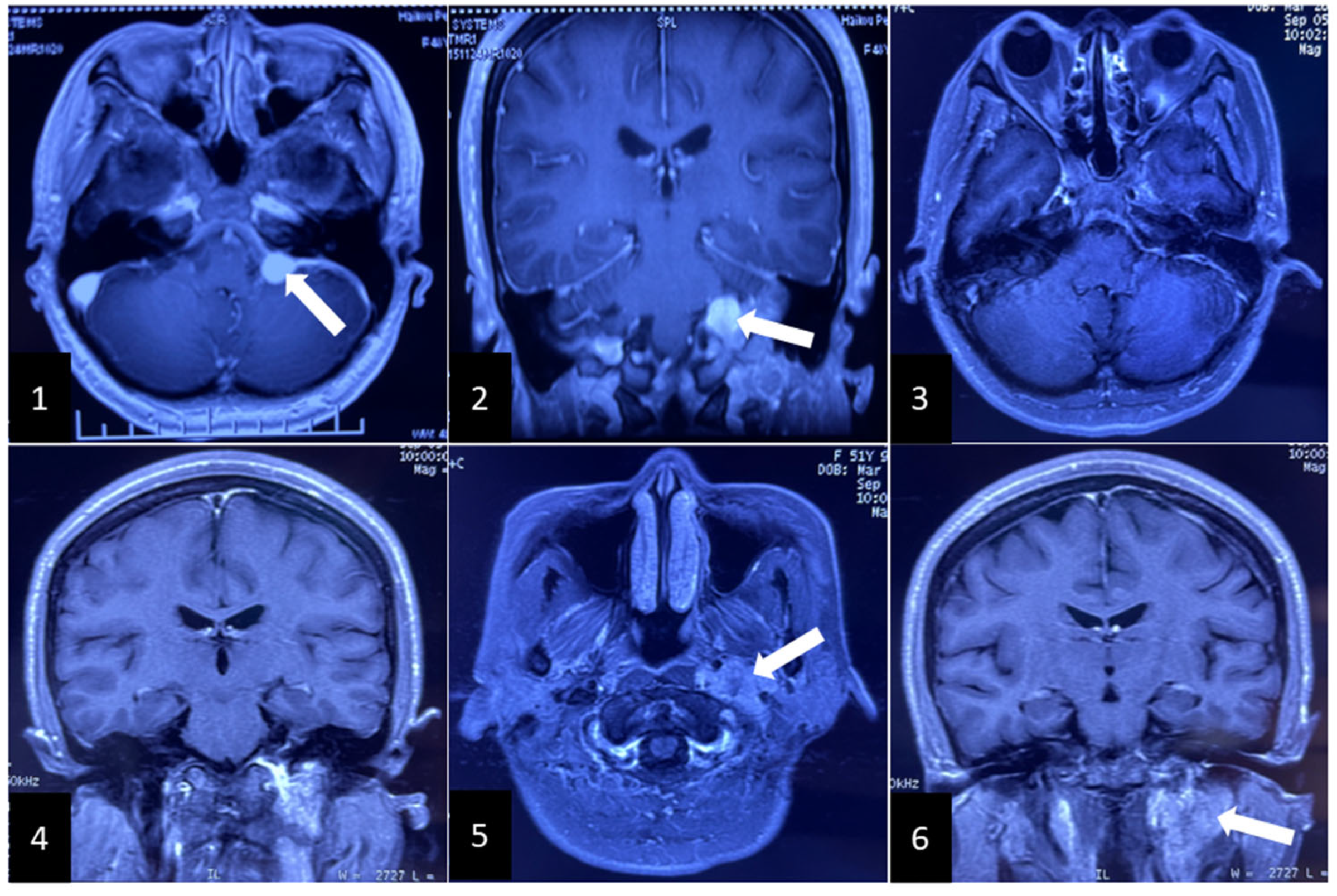 Brainsci 12 01257 g001