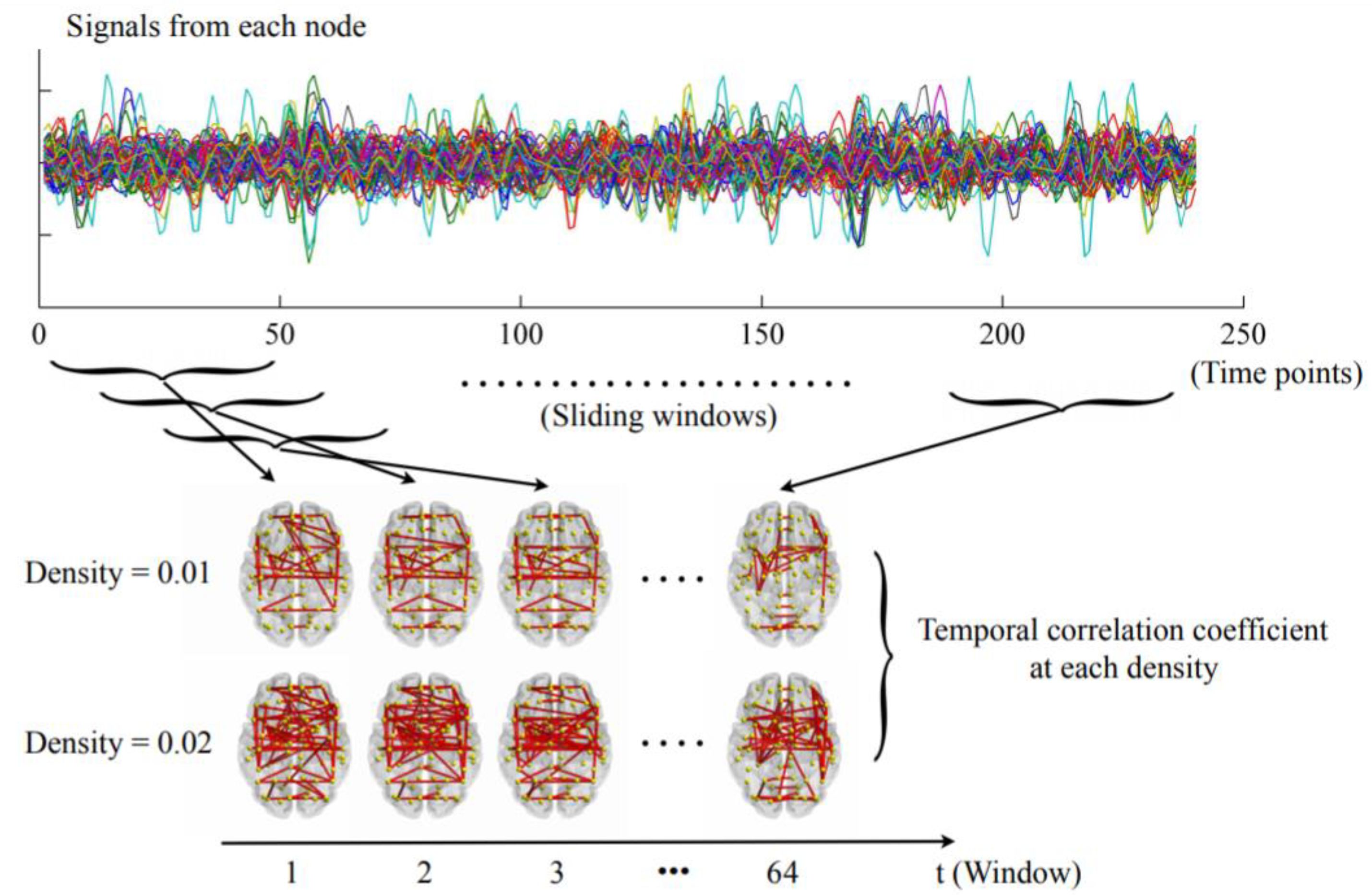 Temporal Stability of Dynamic Default Mode Network
