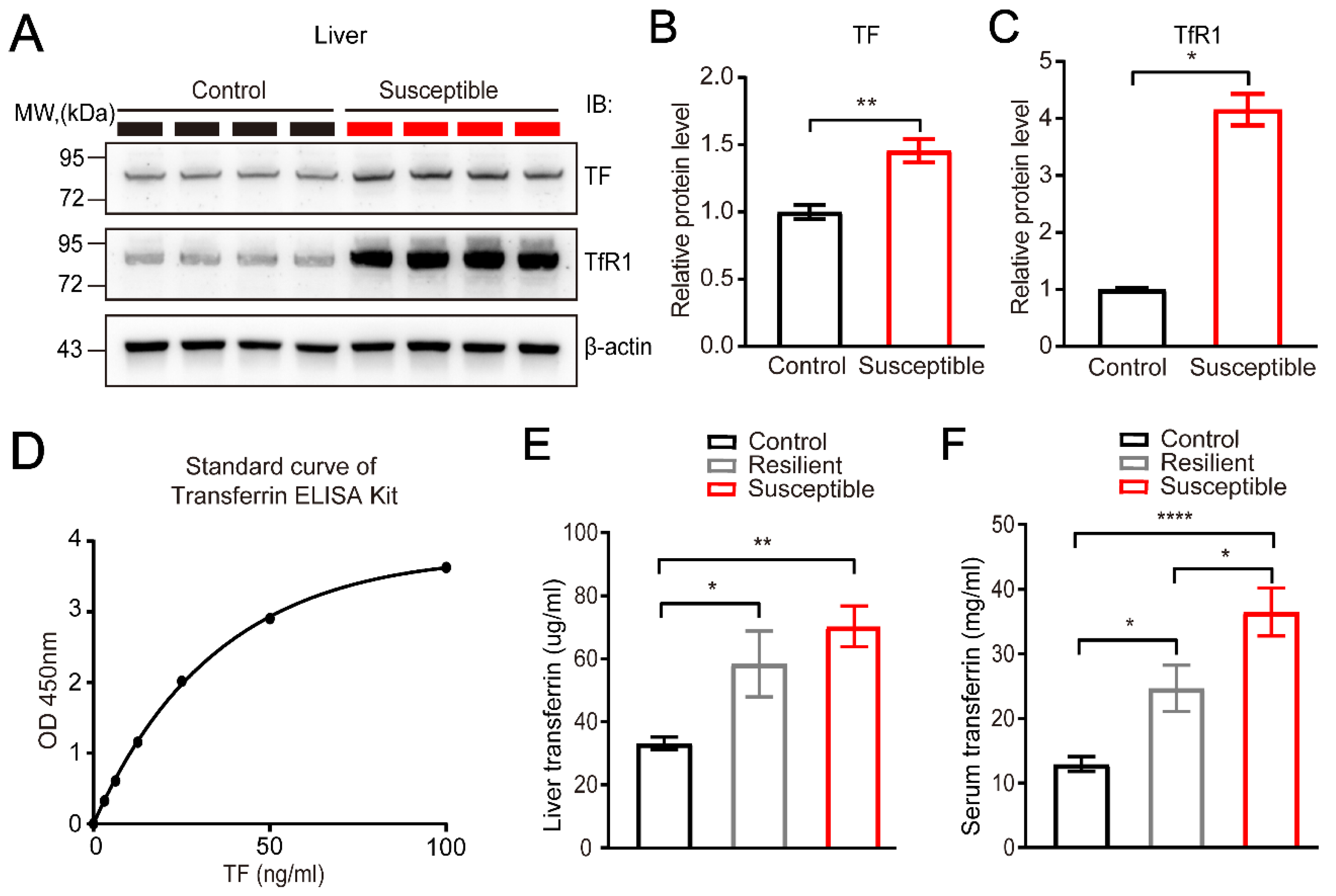 Brainsci 12 01267 g003 Brainsci 12 01267 g003