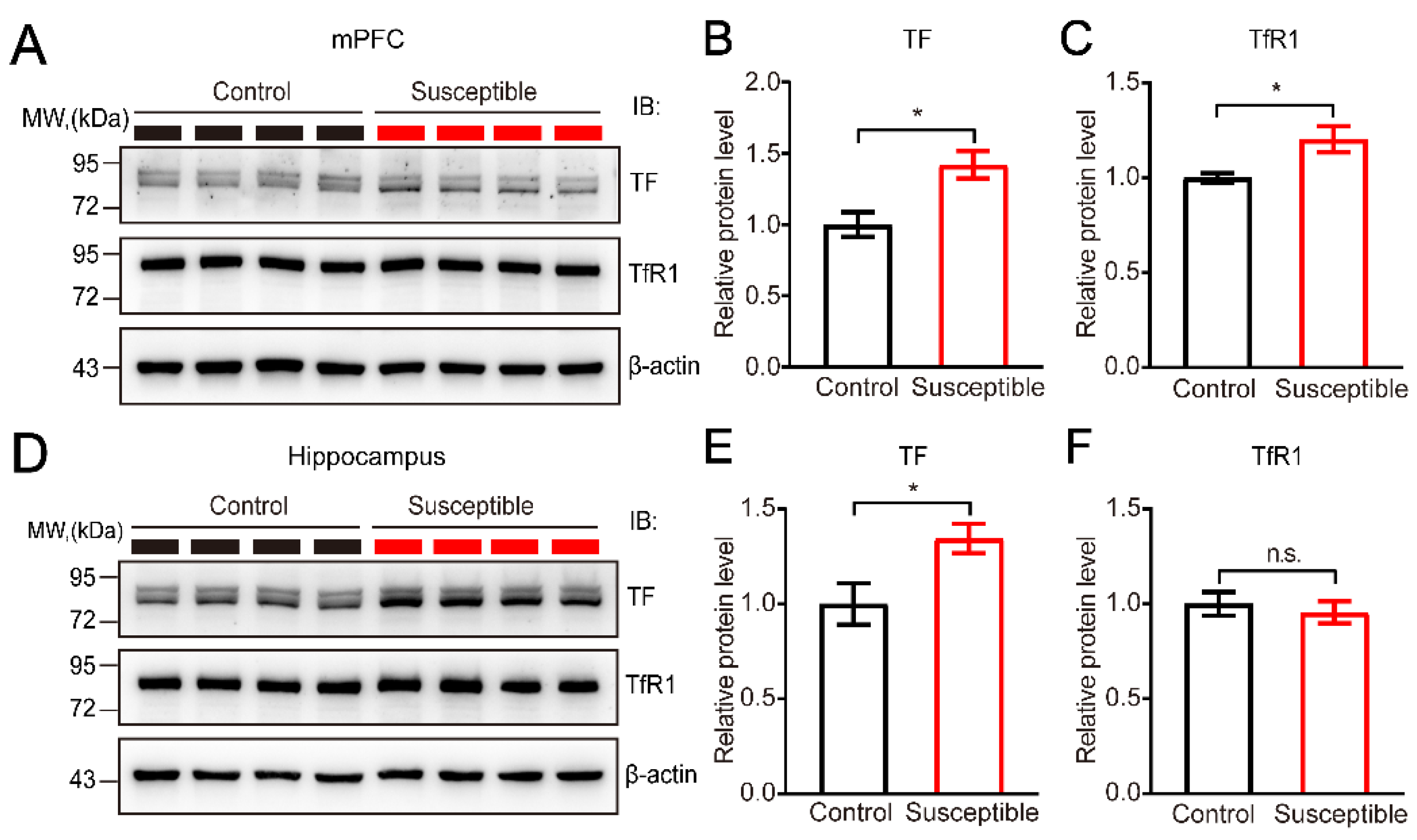 Brainsci 12 01267 g005 Brainsci 12 01267 g005