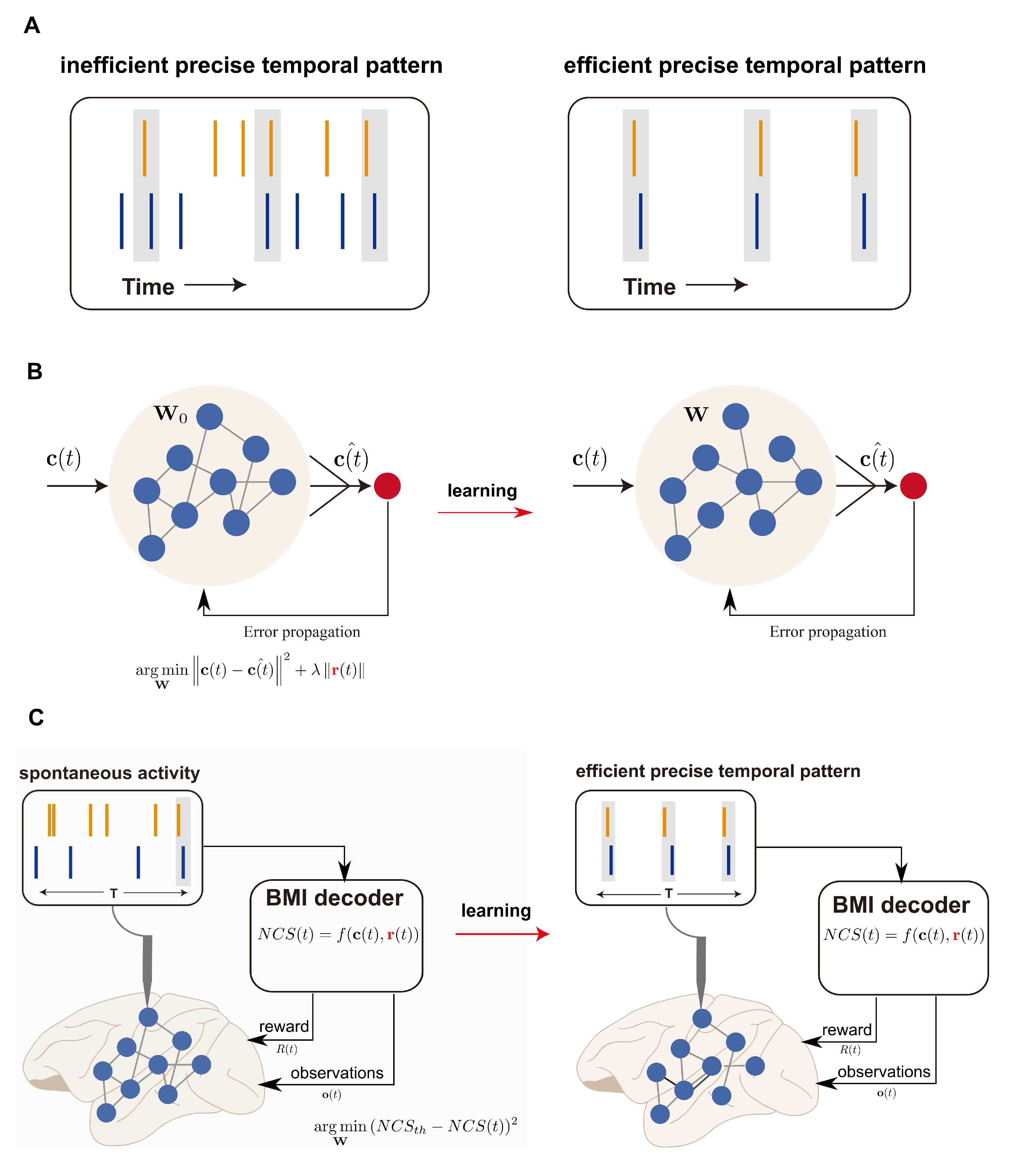 Brainsci 12 01269 g001