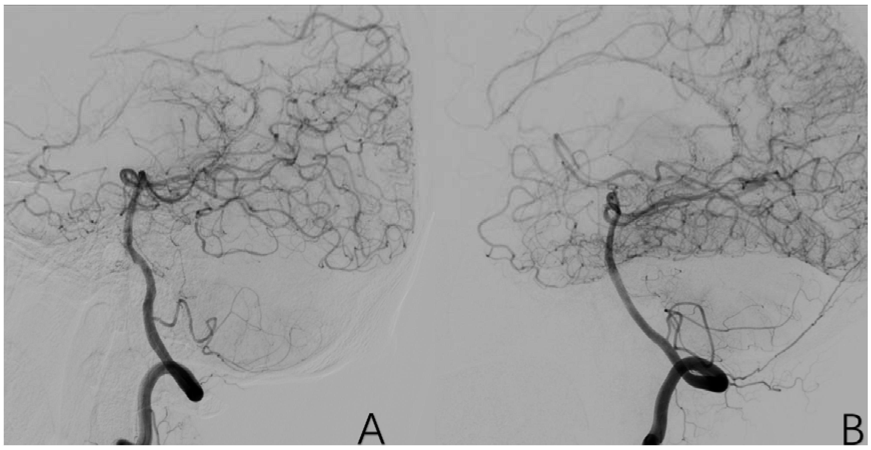 Brainsci 12 01270 g008