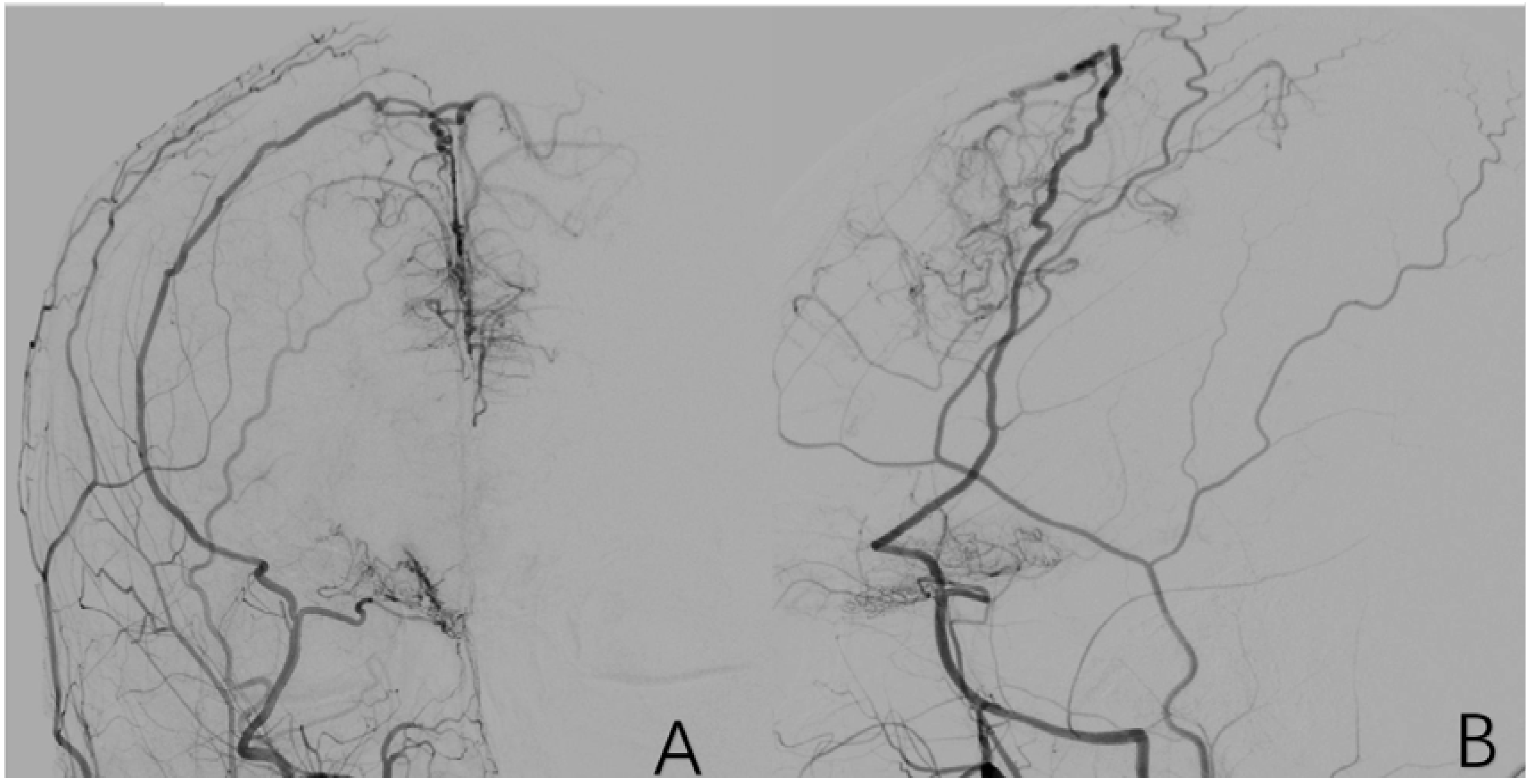 Brainsci 12 01270 g010