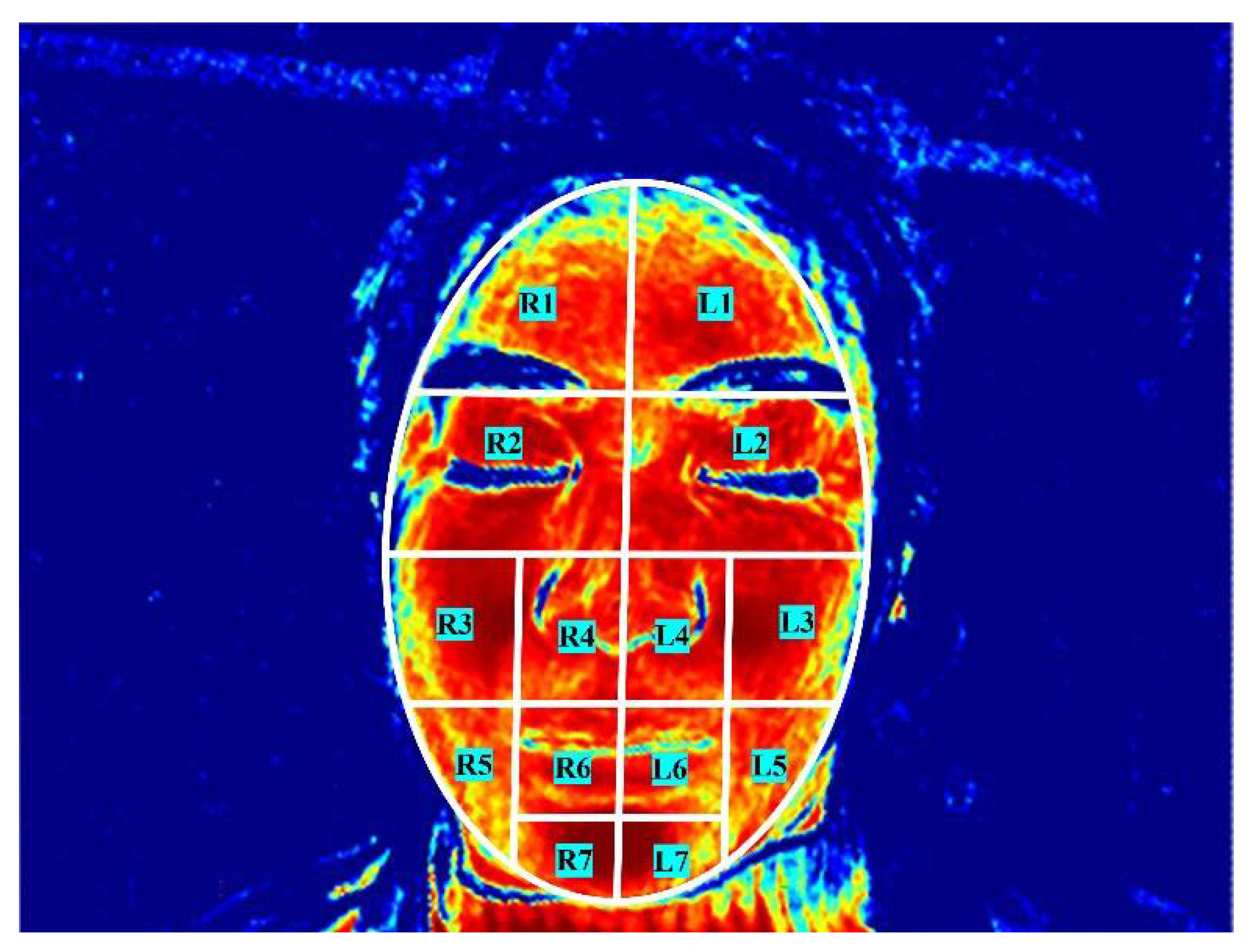 Brainsci 12 01271 g002