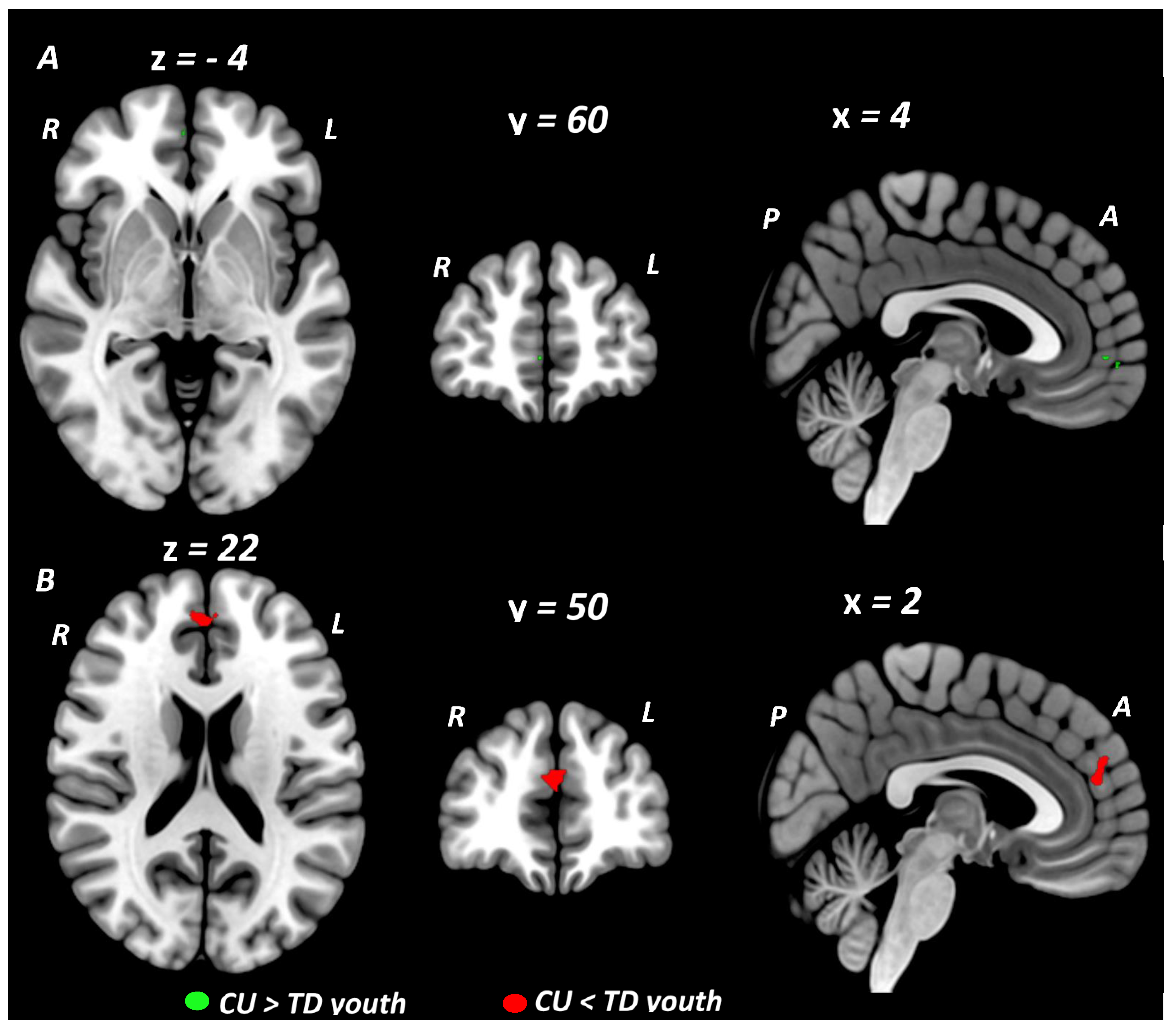 Brainsci 12 01281 g002