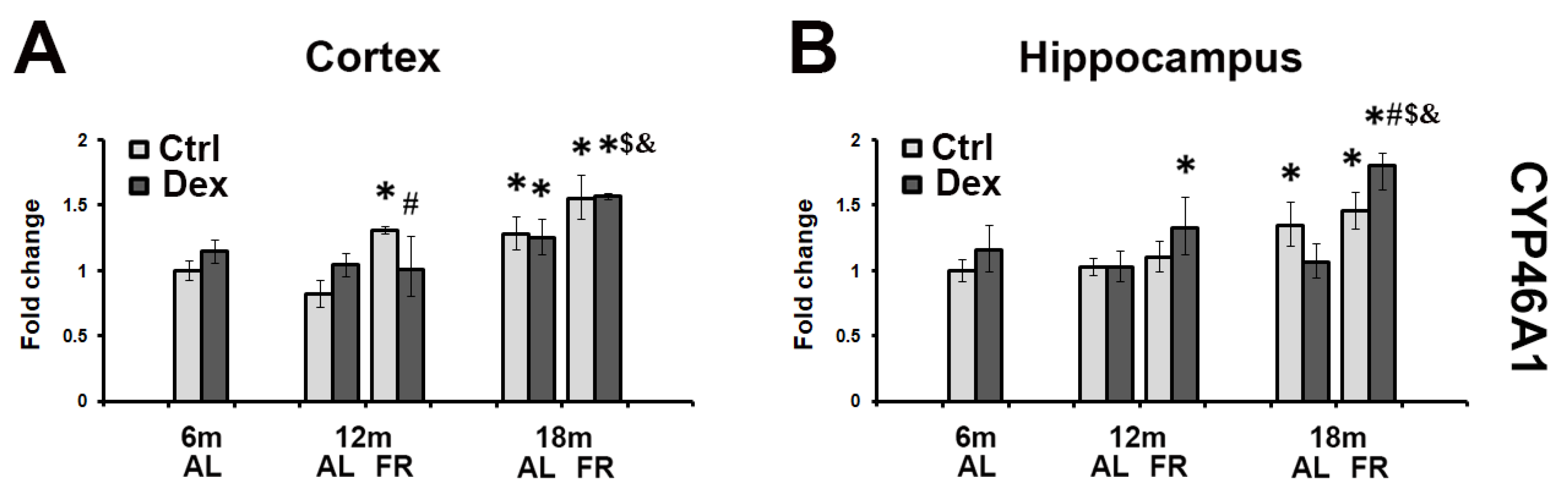Brainsci 12 01297 g004 Brainsci 12 01297 g004