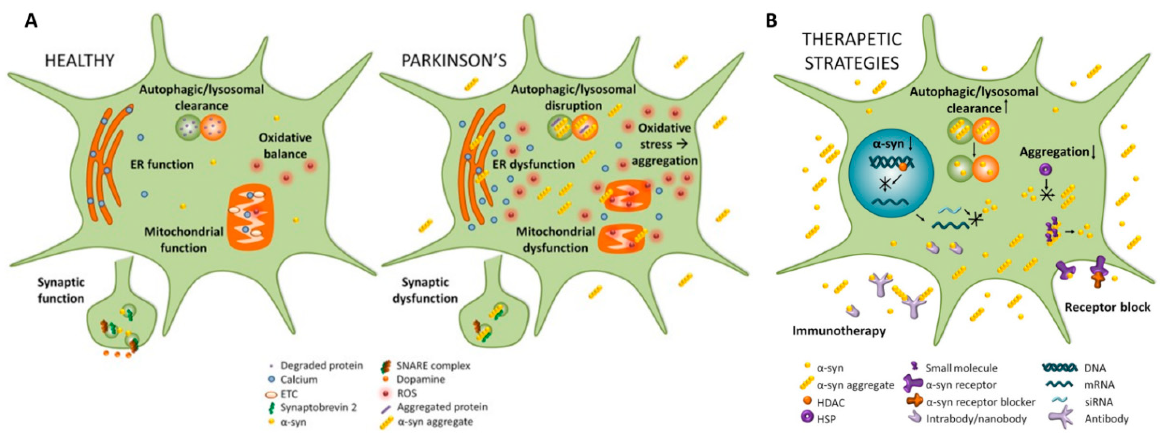 Brainsci 12 01308 g001