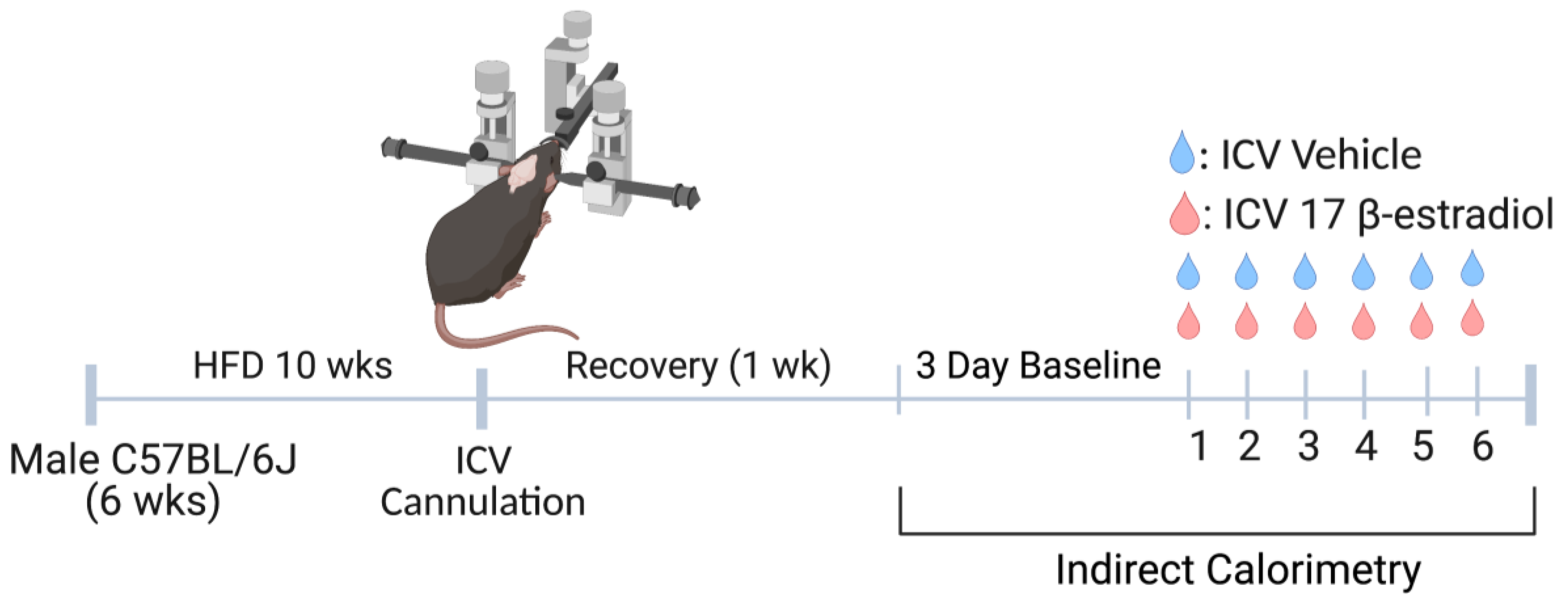 Brainsci 12 01324 g001 Brainsci 12 01324 g001