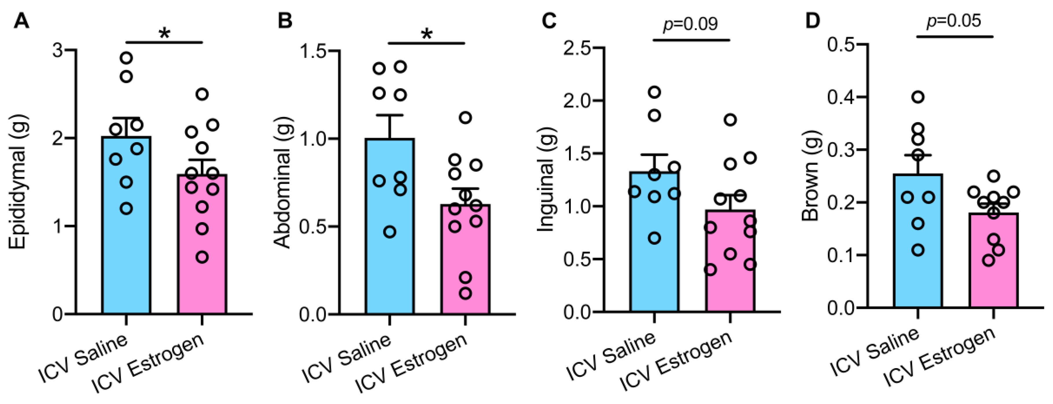 Brainsci 12 01324 g003 Brainsci 12 01324 g003