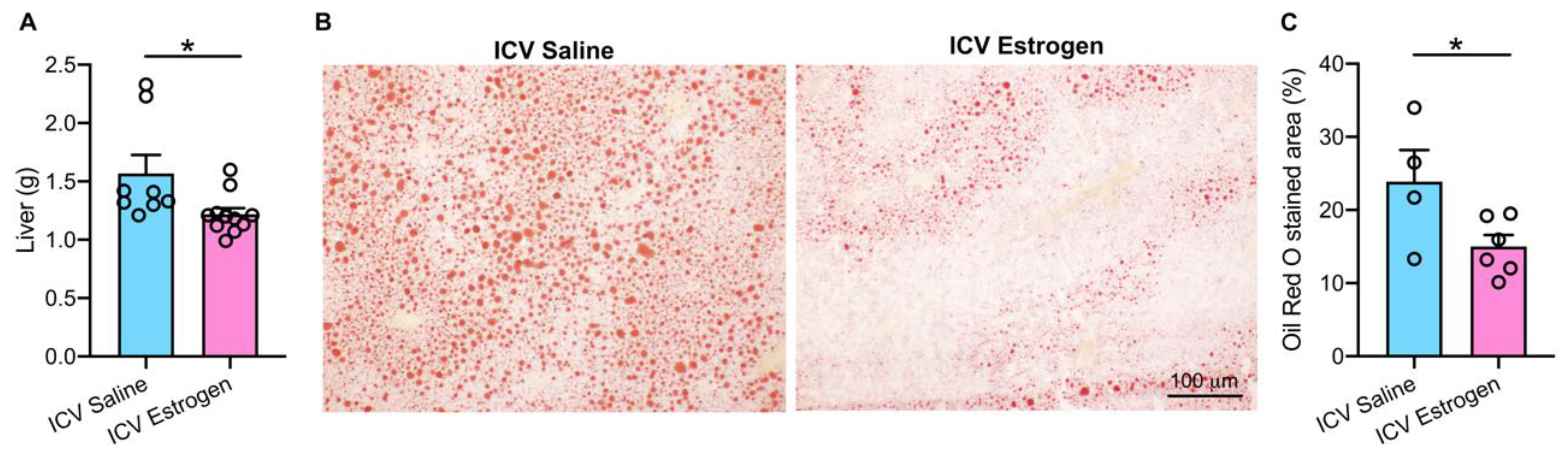 Brainsci 12 01324 g004 Brainsci 12 01324 g004