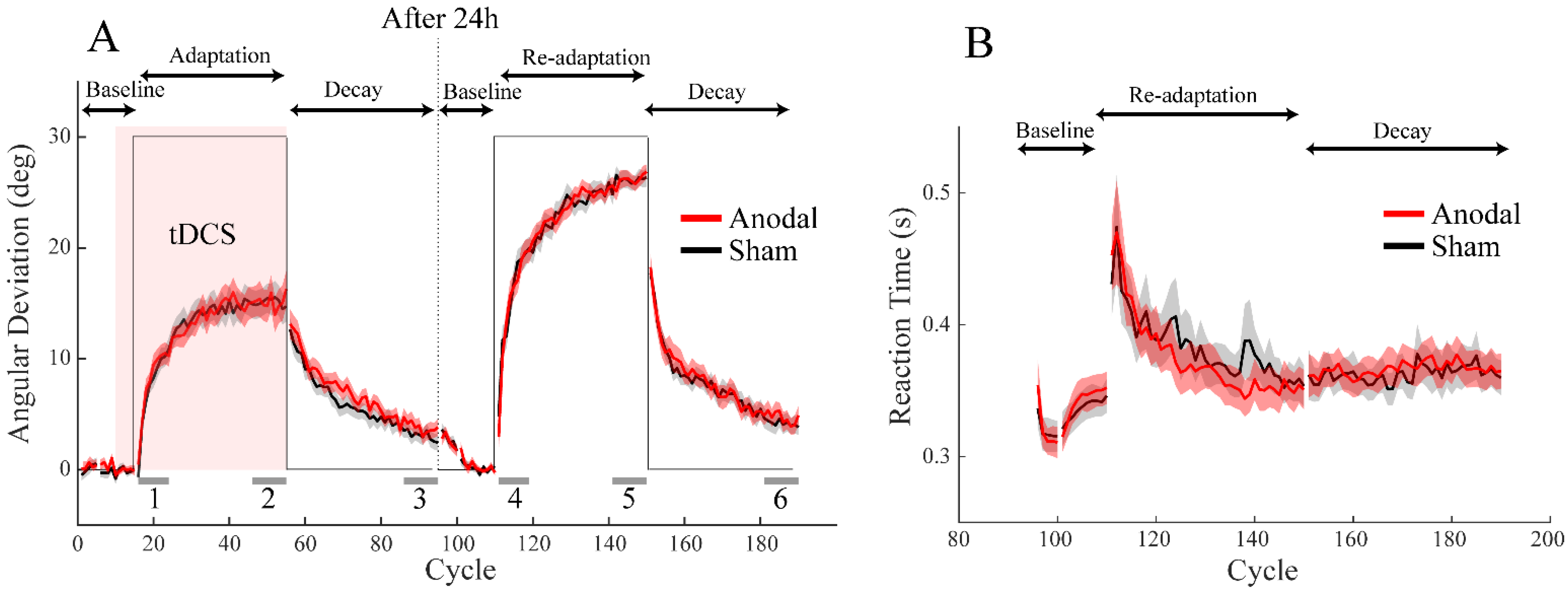 Brainsci 12 01325 g002 Brainsci 12 01325 g002