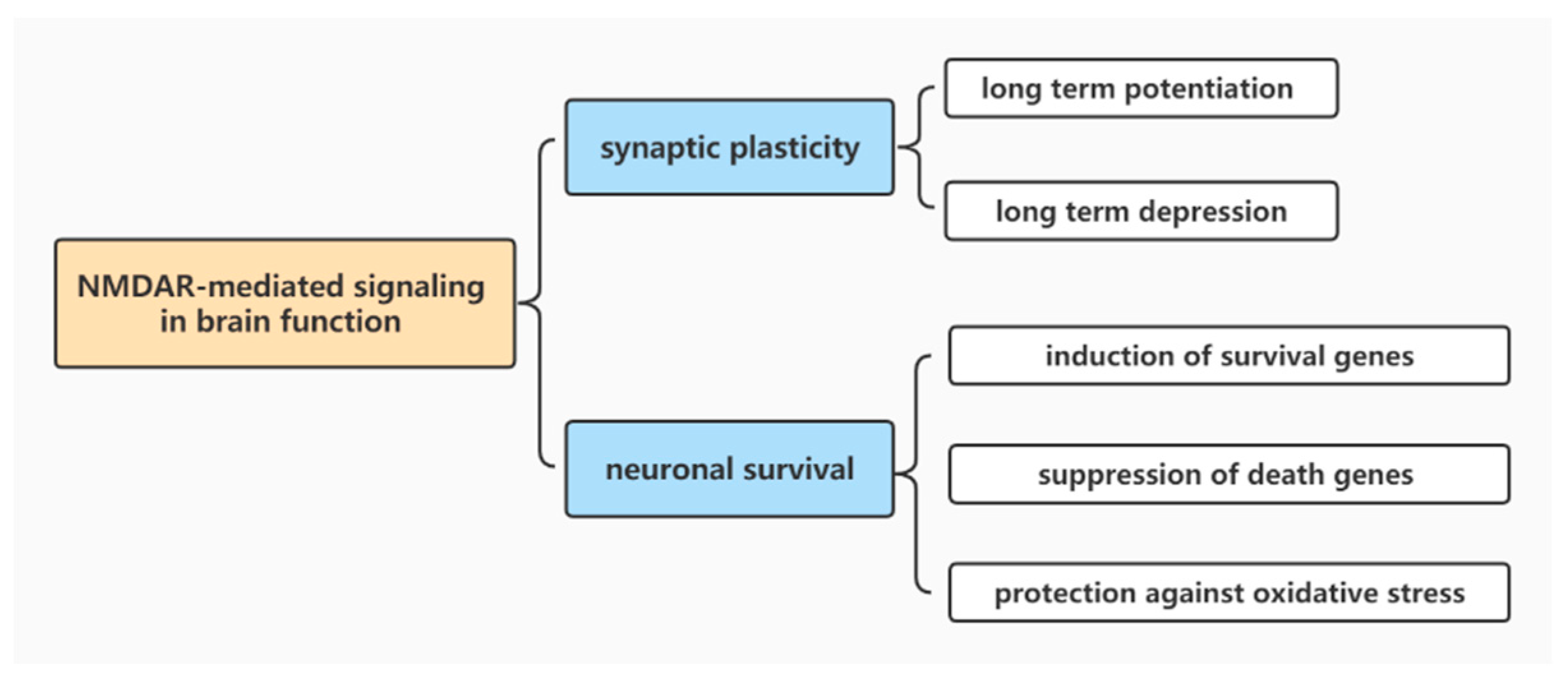 Brainsci 12 01329 g001 Brainsci 12 01329 g001