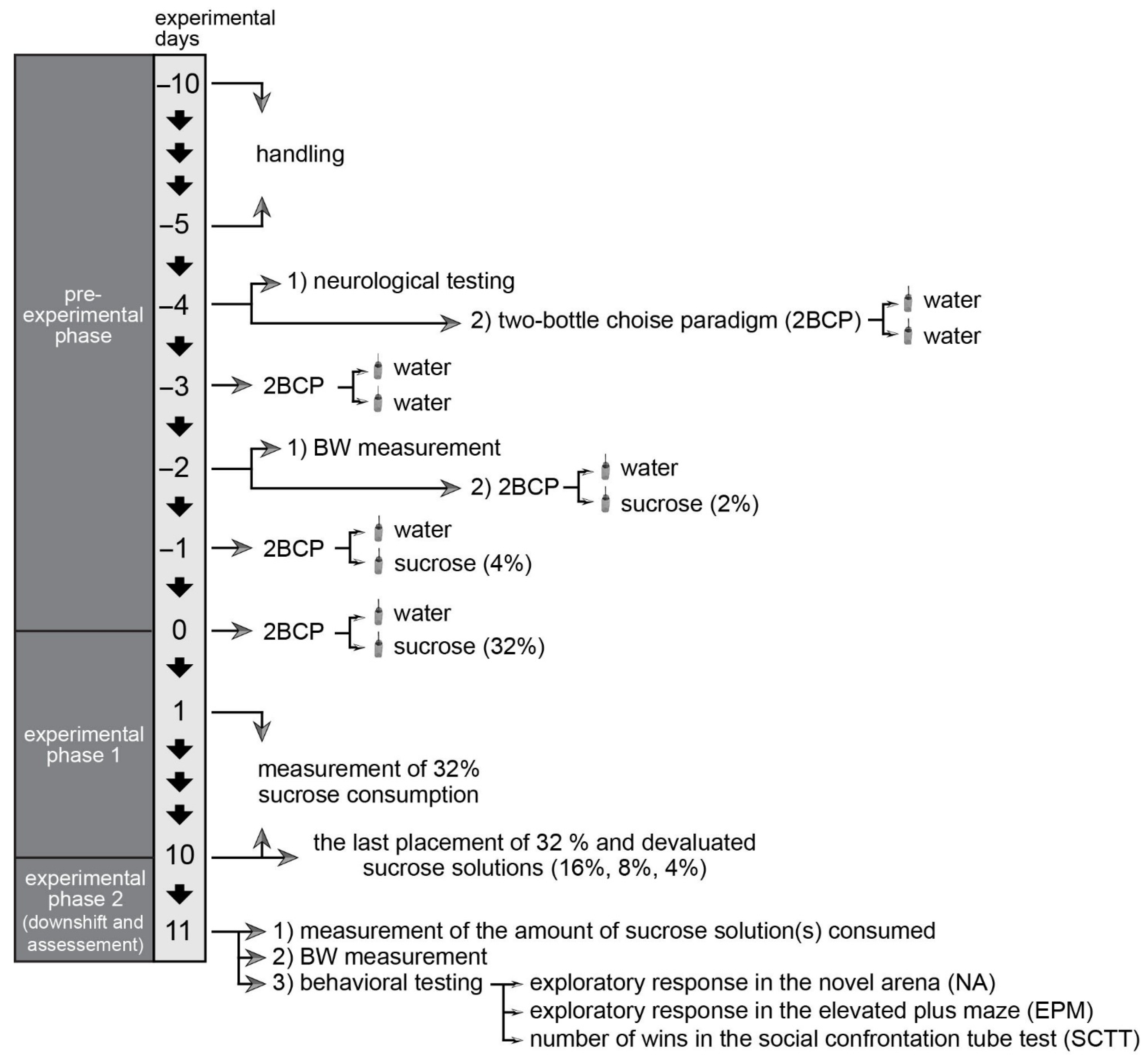 Brainsci 12 01332 g001 Brainsci 12 01332 g001