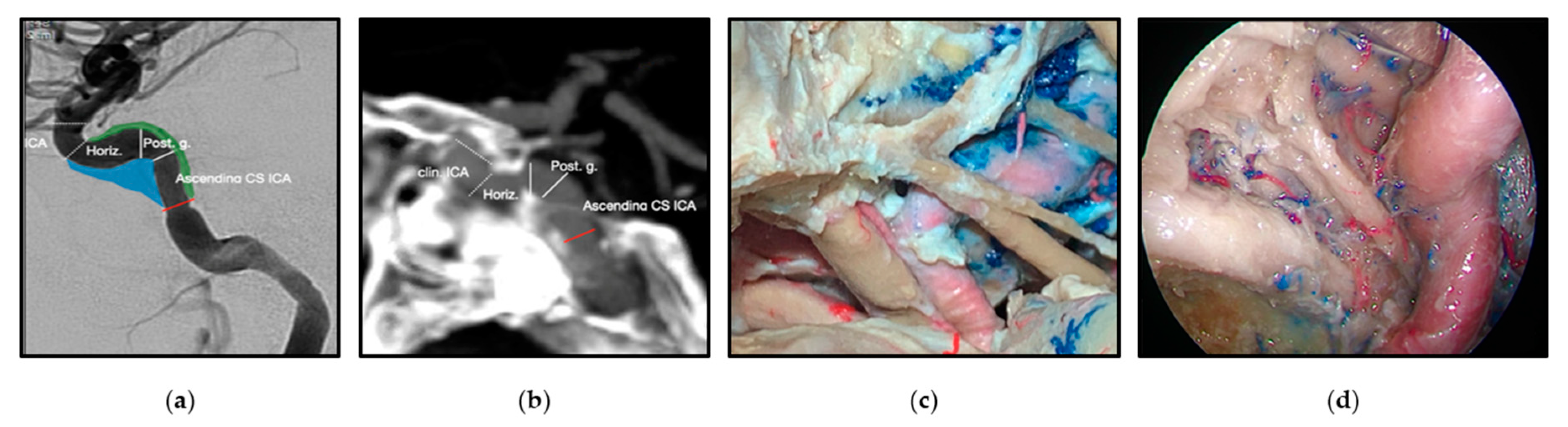 Brainsci 12 01337 g008 Brainsci 12 01337 g008