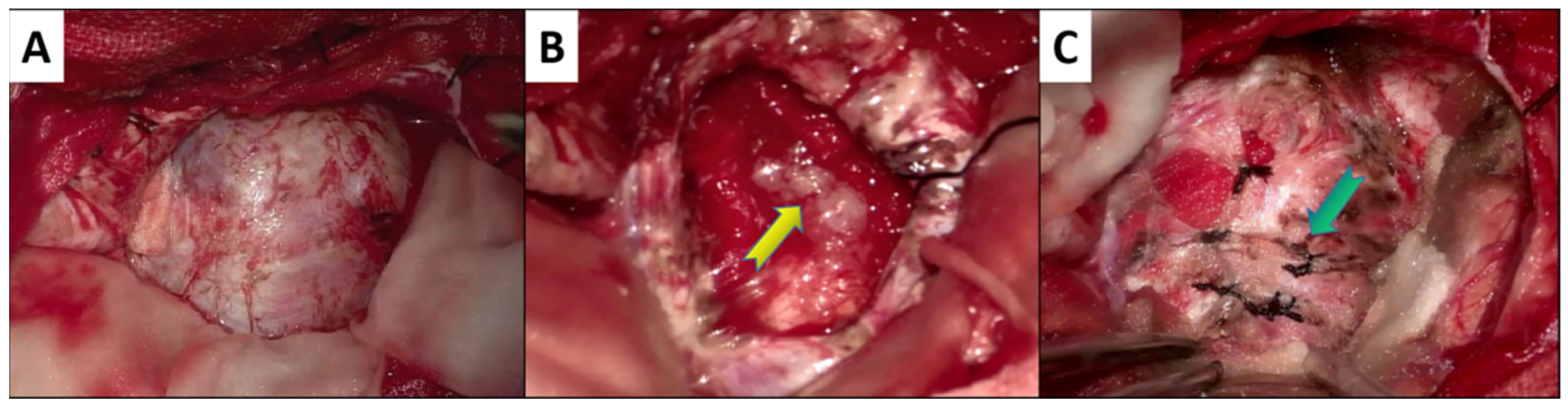 Brainsci 12 01353 g003