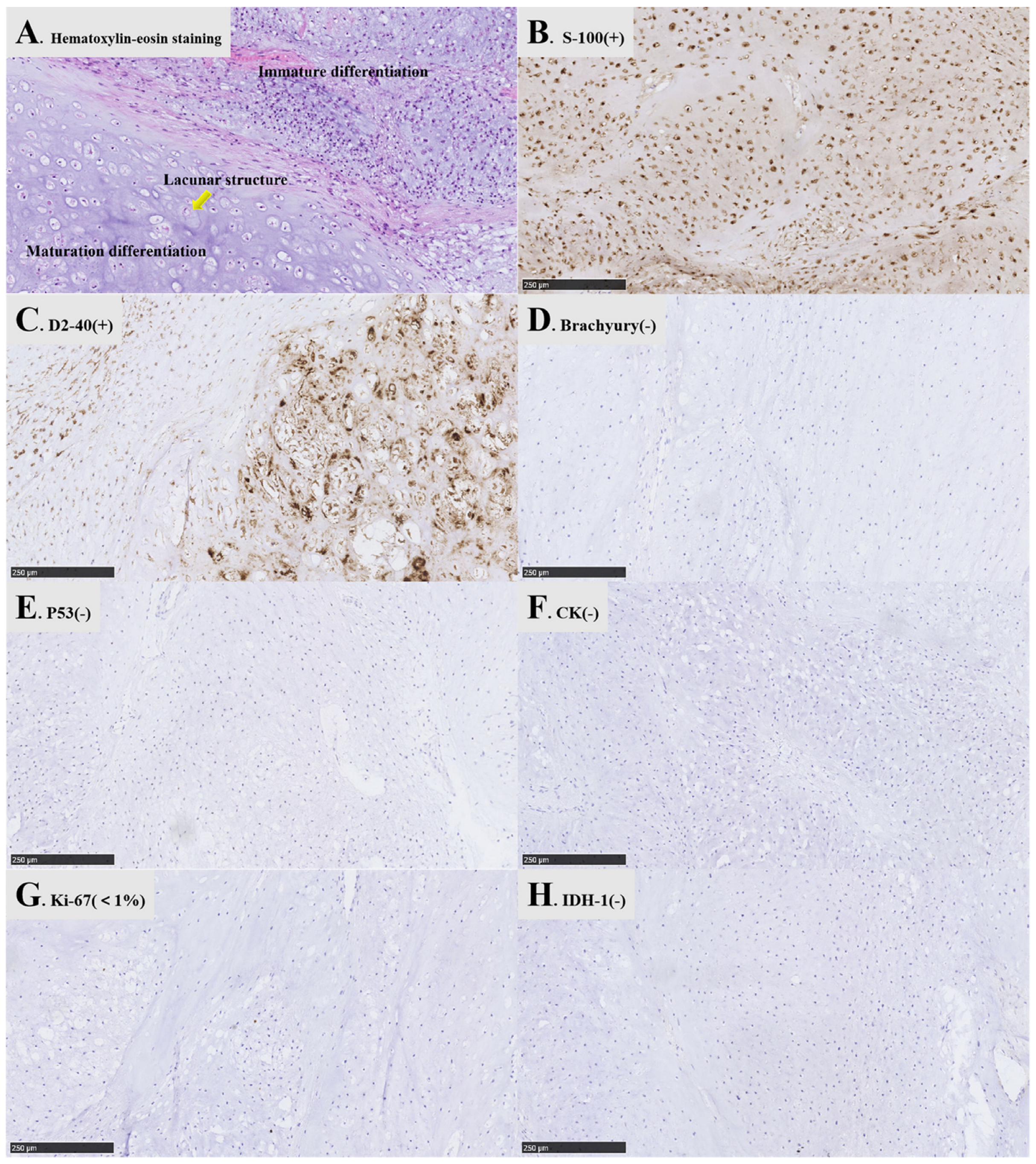 Brainsci 12 01353 g004