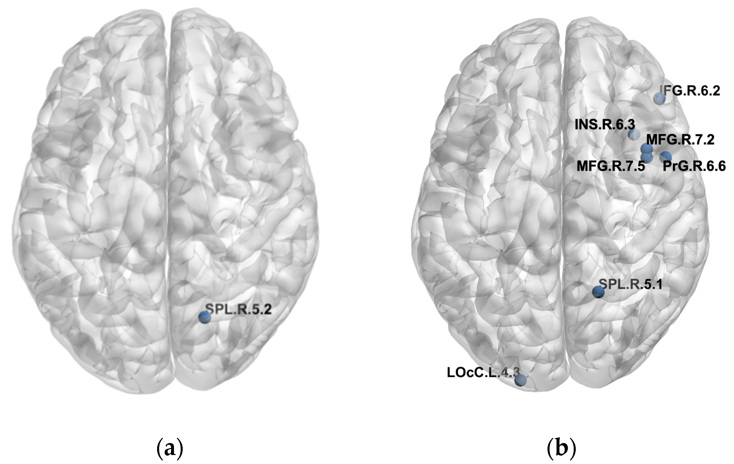 Brainsci 12 01355 g002 Brainsci 12 01355 g002