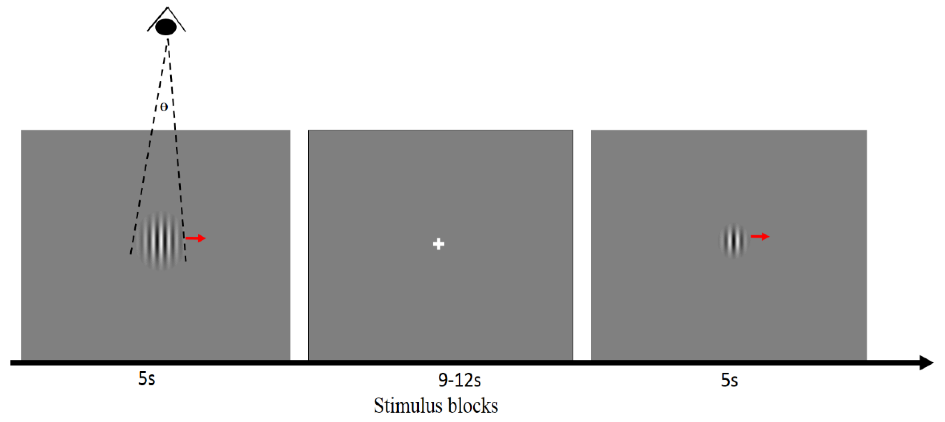 Brainsci 12 01361 g001