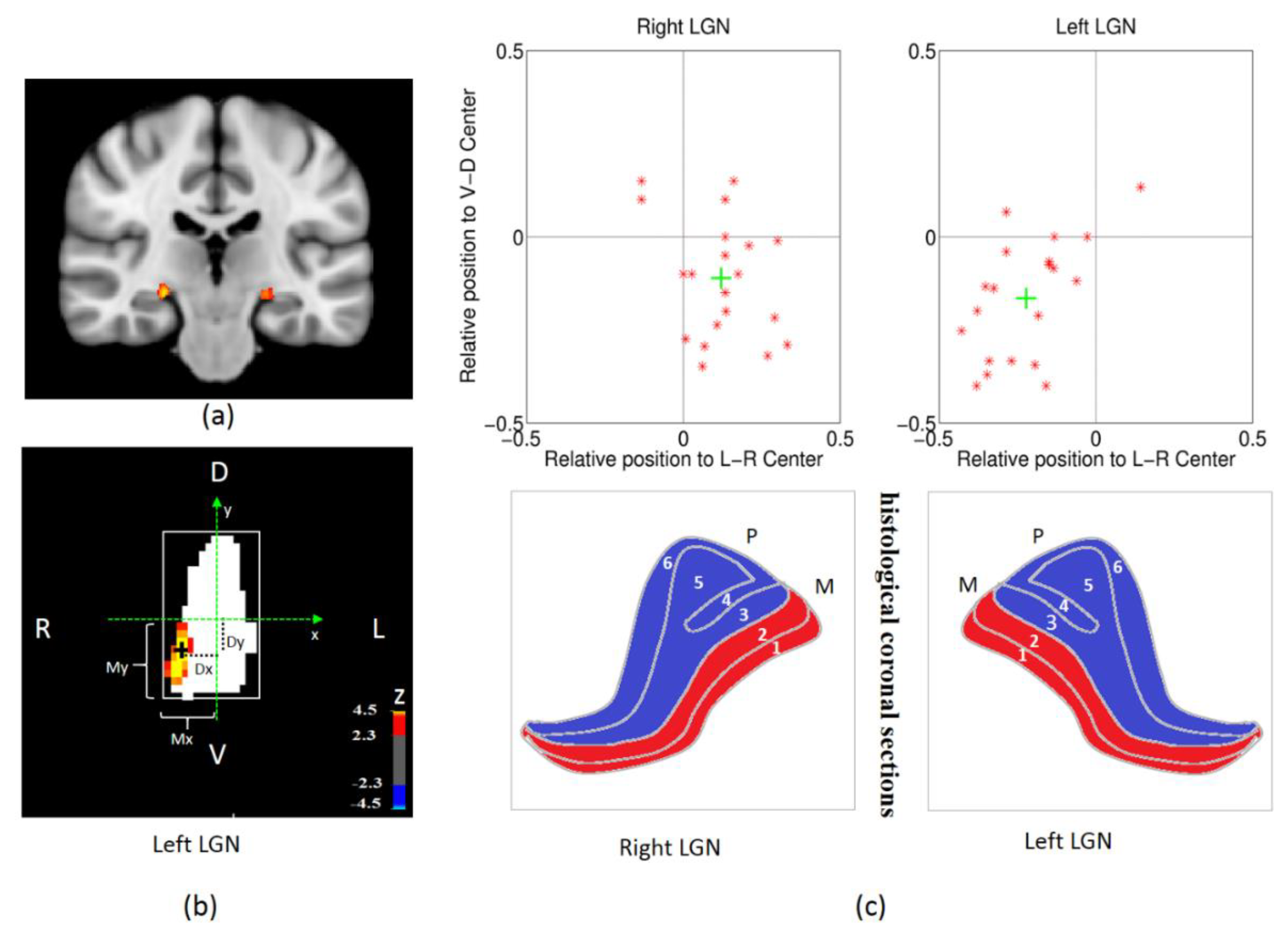Brainsci 12 01361 g003