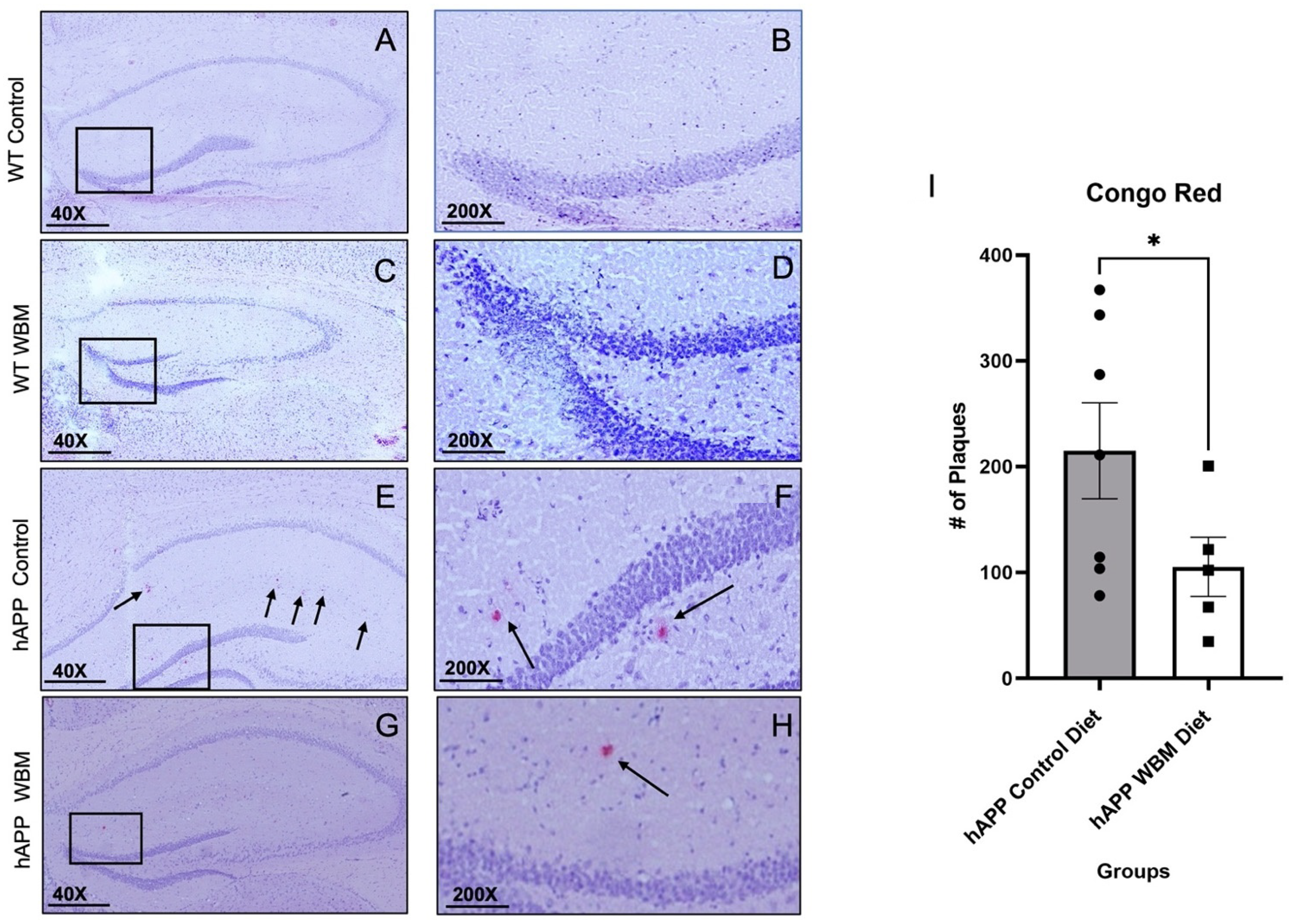 Brainsci 12 01364 g002