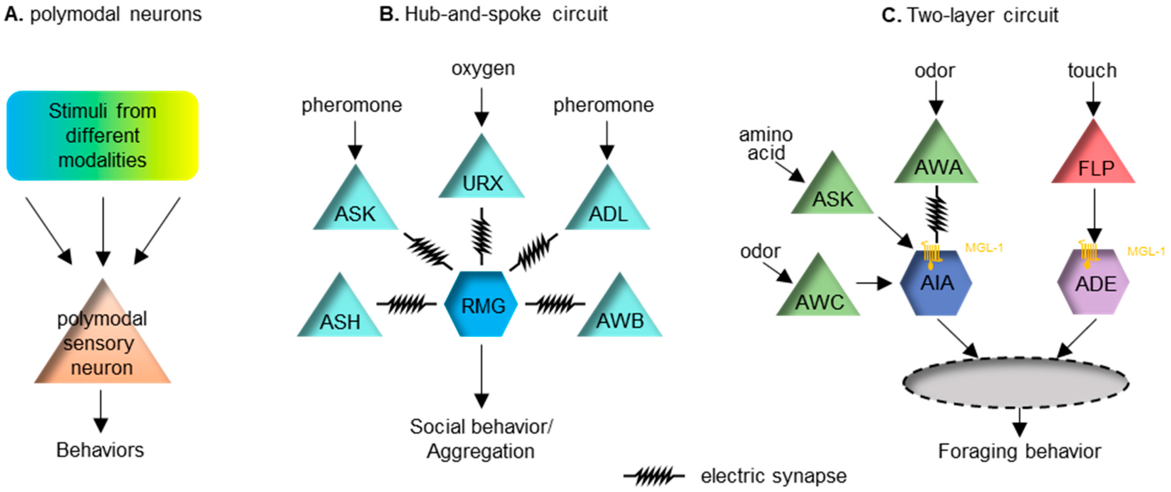 Brainsci 12 01368 g001 Brainsci 12 01368 g001