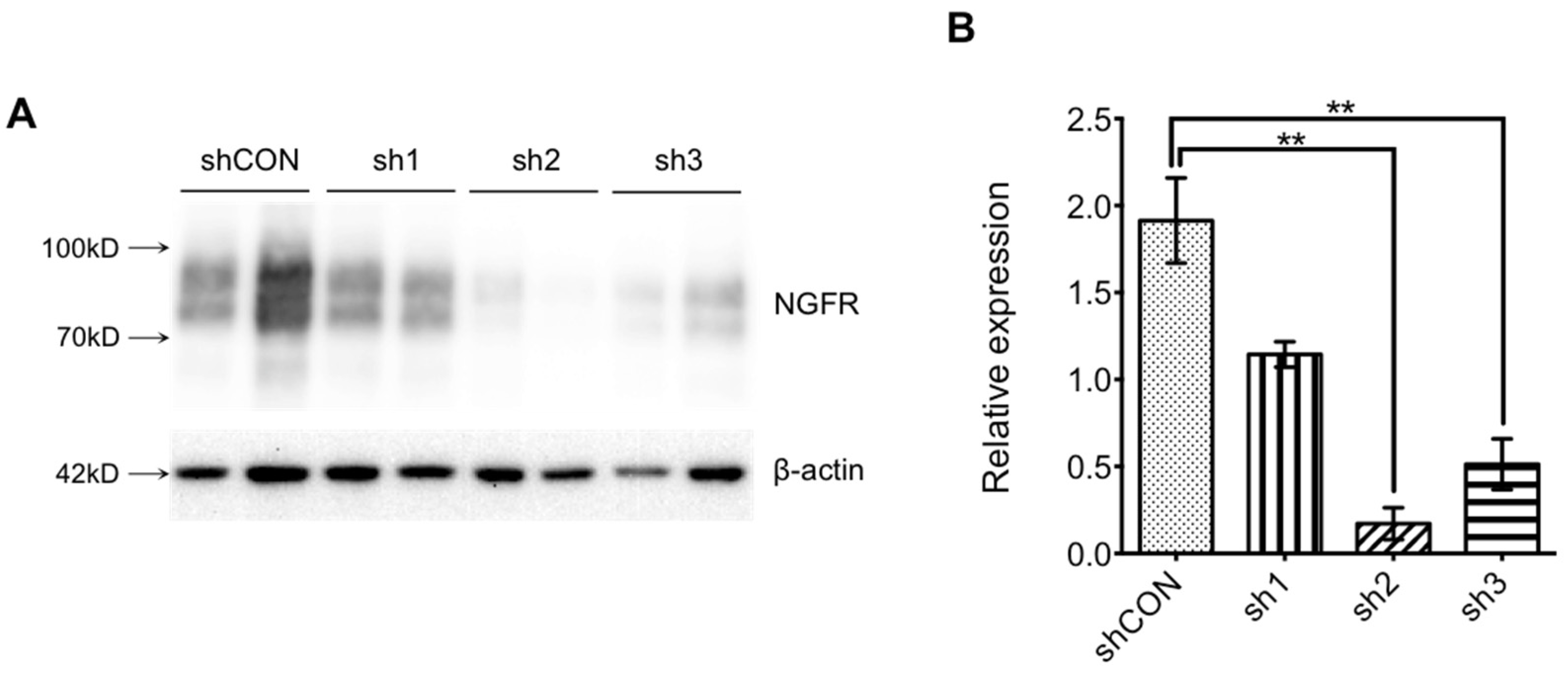 Brainsci 12 01372 g002 Brainsci 12 01372 g002