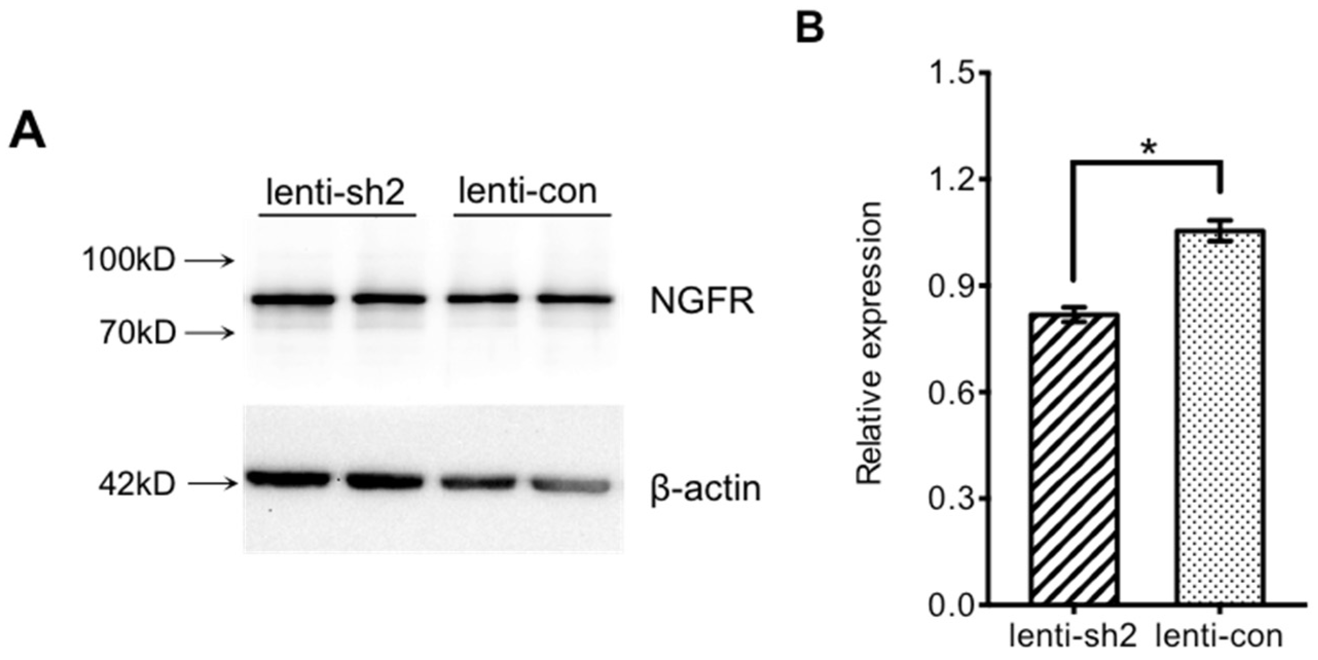 Brainsci 12 01372 g003 Brainsci 12 01372 g003