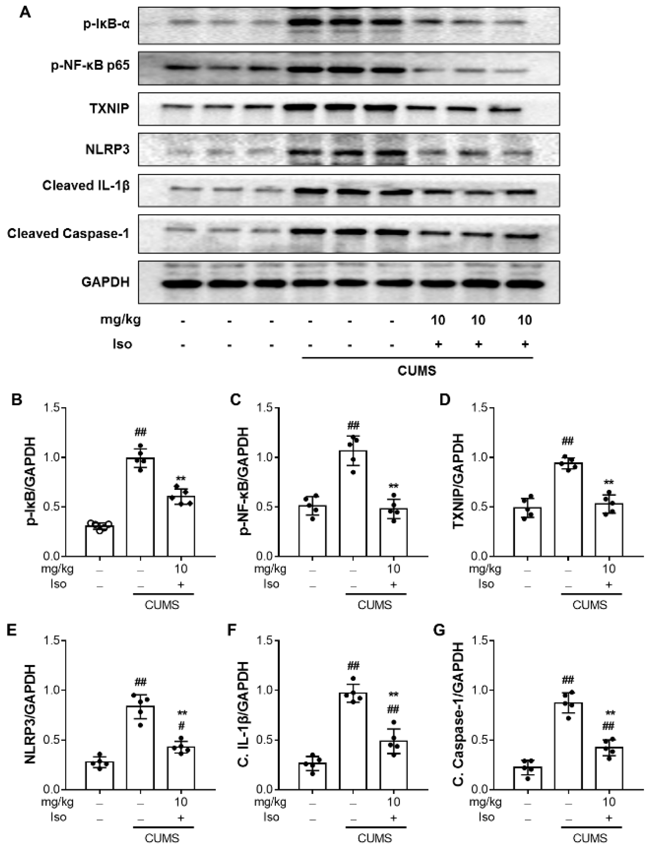 Brainsci 12 01376 g008 Brainsci 12 01376 g008