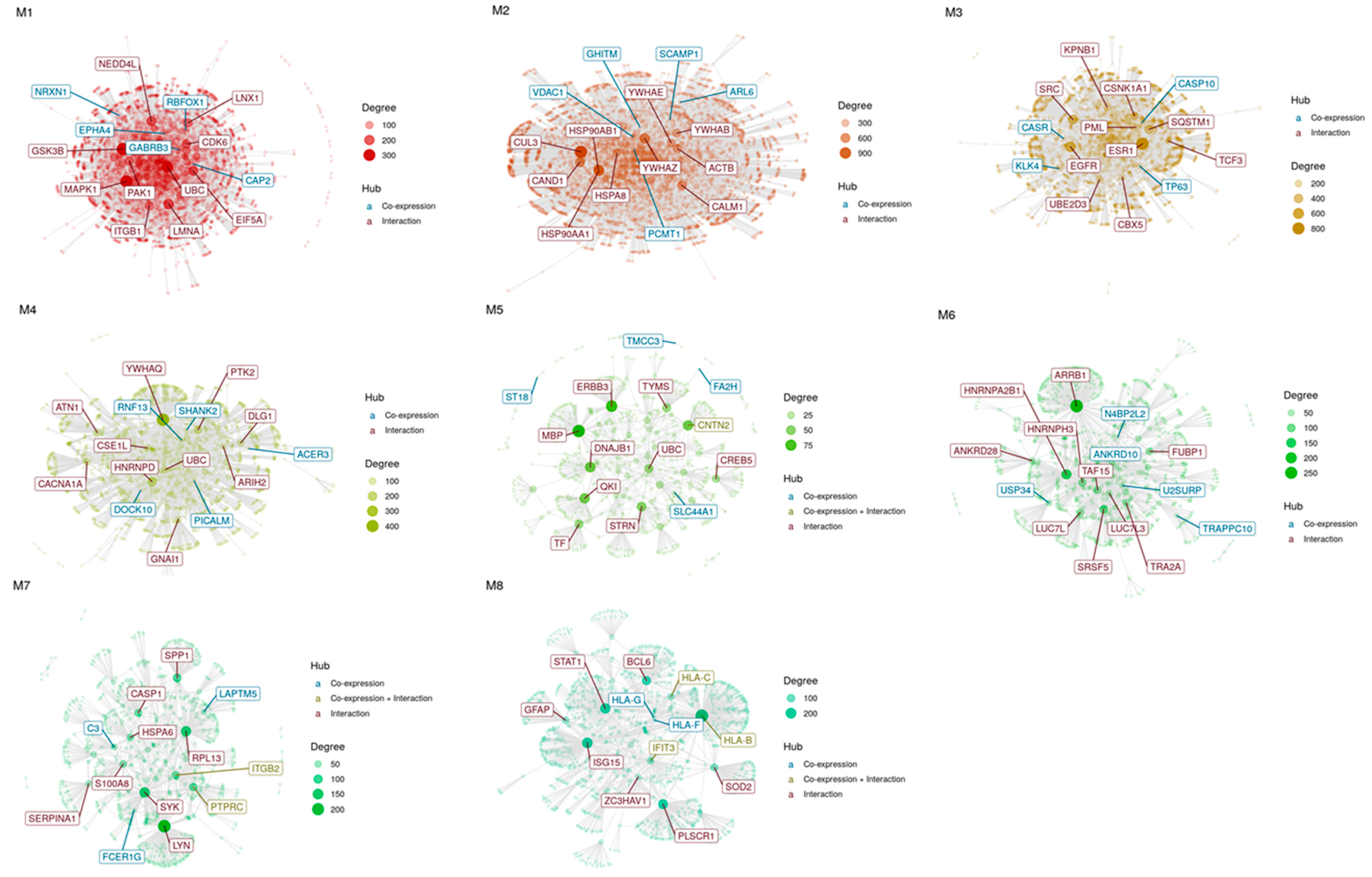 Brainsci 12 01378 g002 Brainsci 12 01378 g002