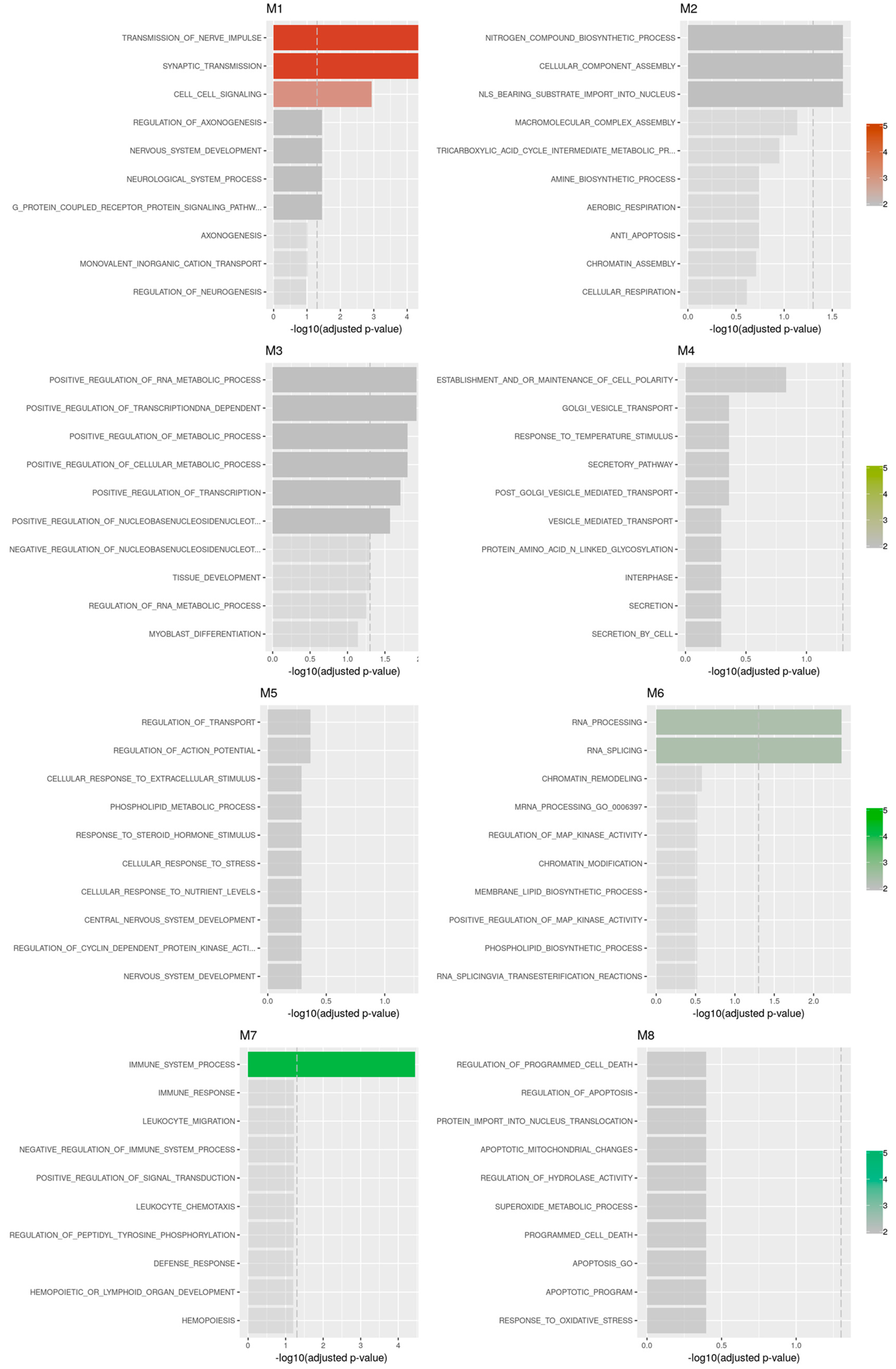 Brainsci 12 01378 g004 Brainsci 12 01378 g004