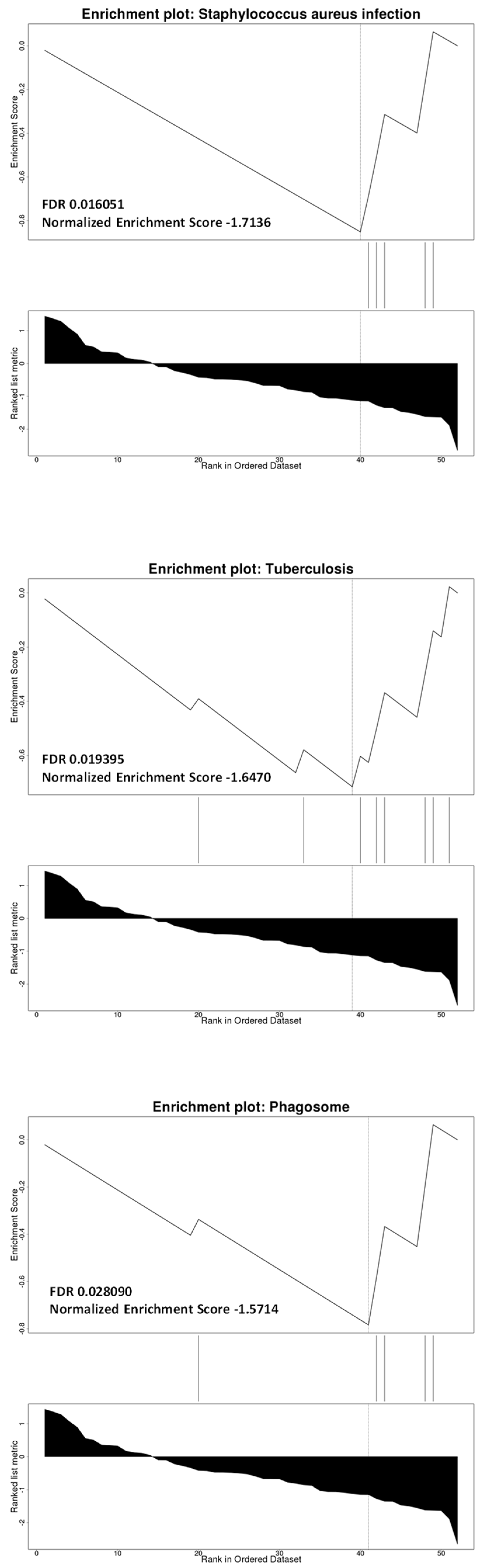 Brainsci 12 01378 g006 Brainsci 12 01378 g006