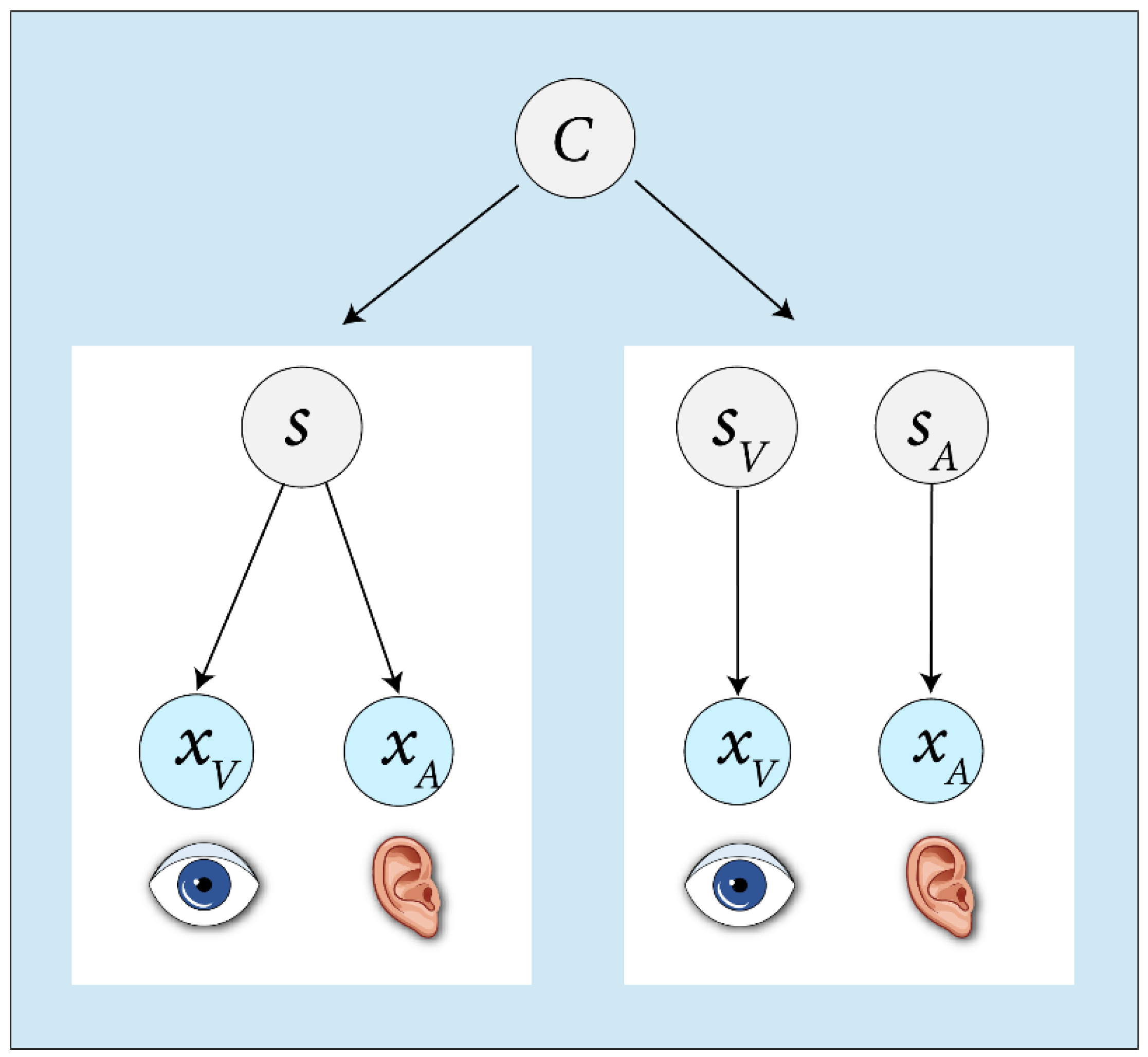 Brainsci 12 01384 g001