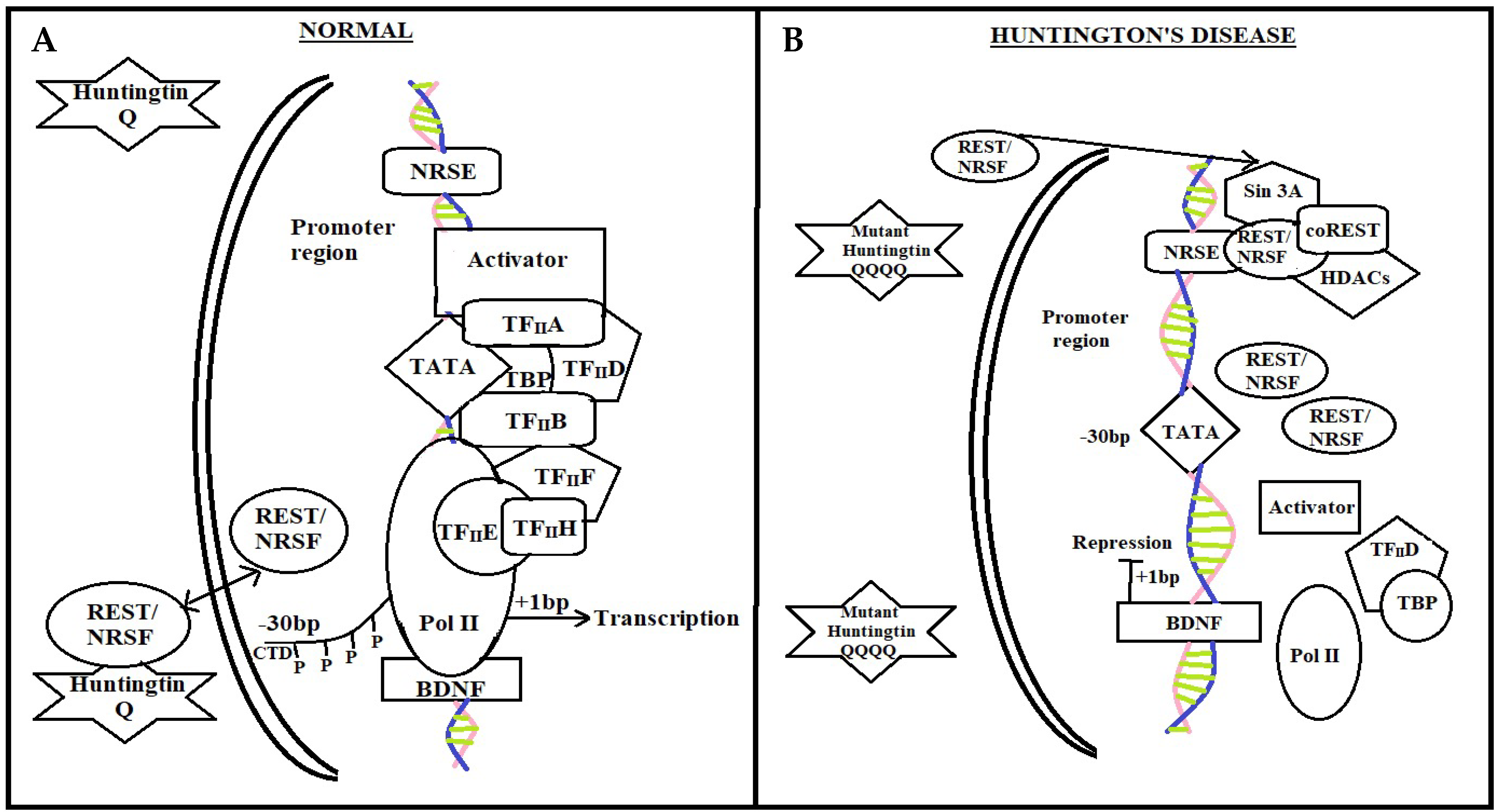 Brainsci 12 01389 g002 Brainsci 12 01389 g002