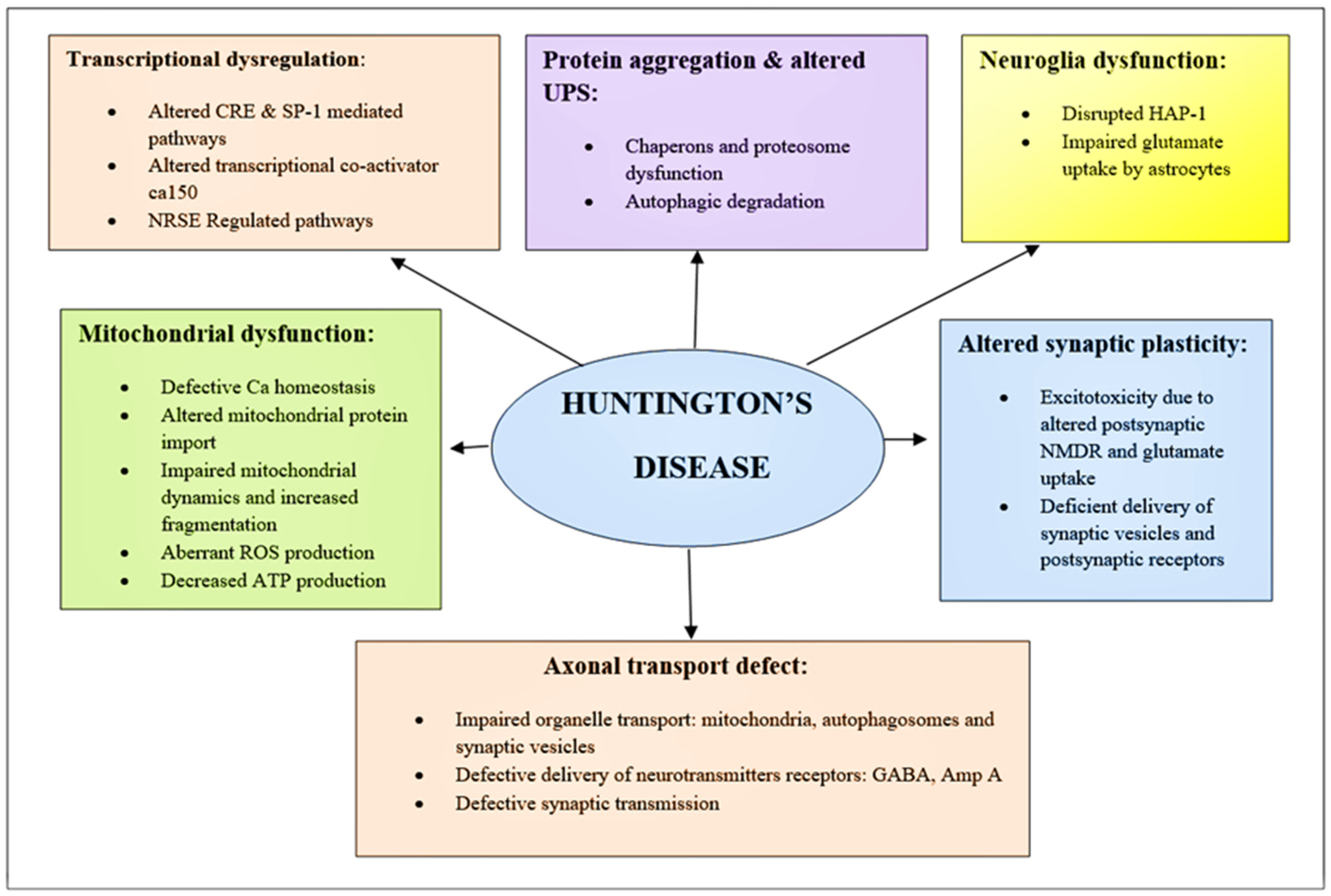Brainsci 12 01389 g003 Brainsci 12 01389 g003