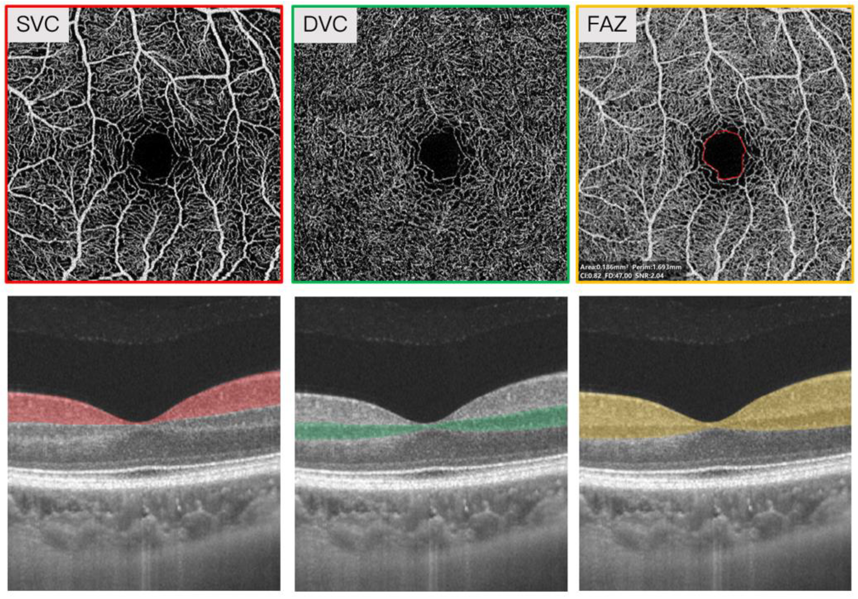 Brainsci 12 01391 g001 Brainsci 12 01391 g001