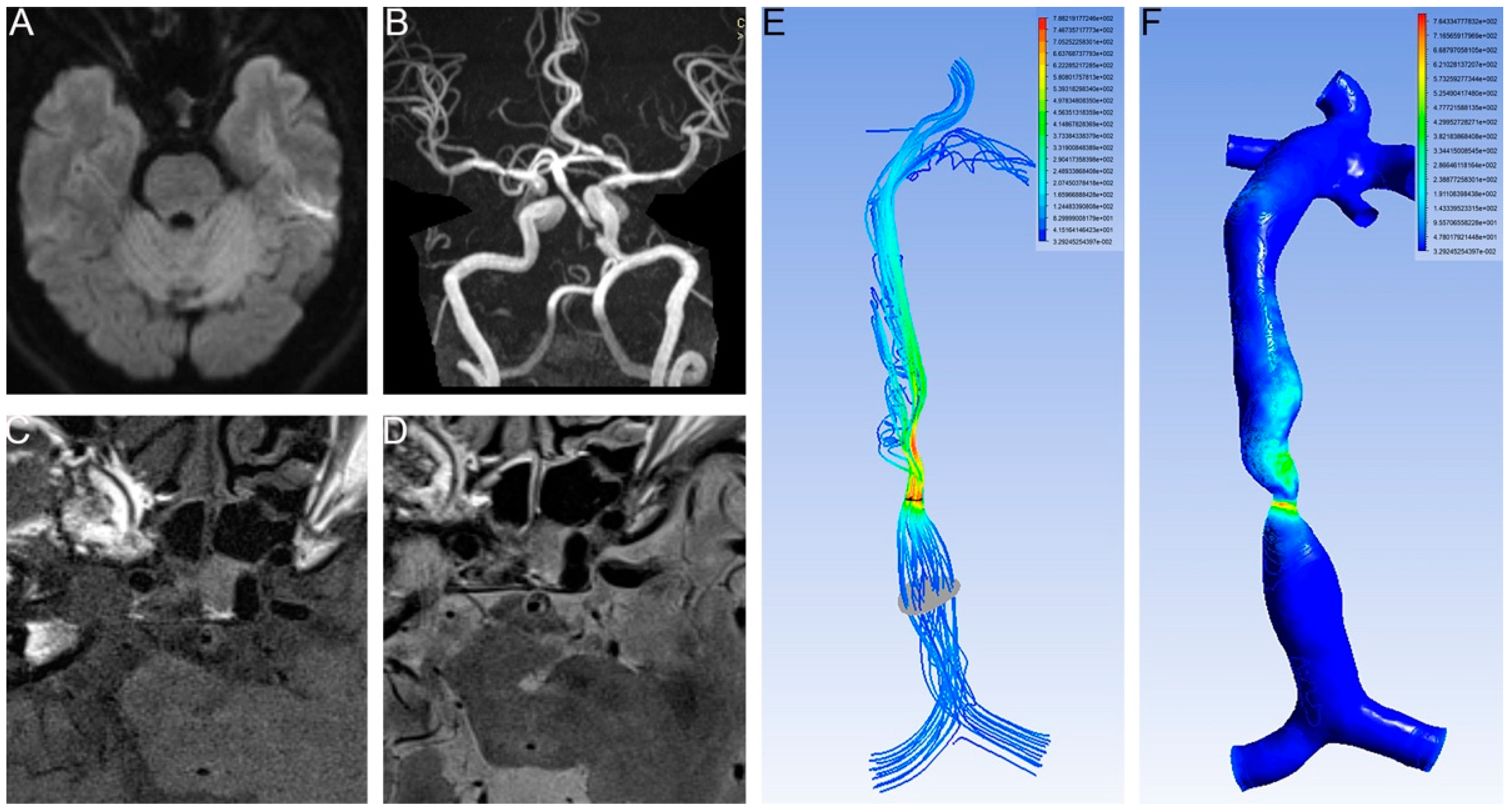Brainsci 12 01397 g001 Brainsci 12 01397 g001