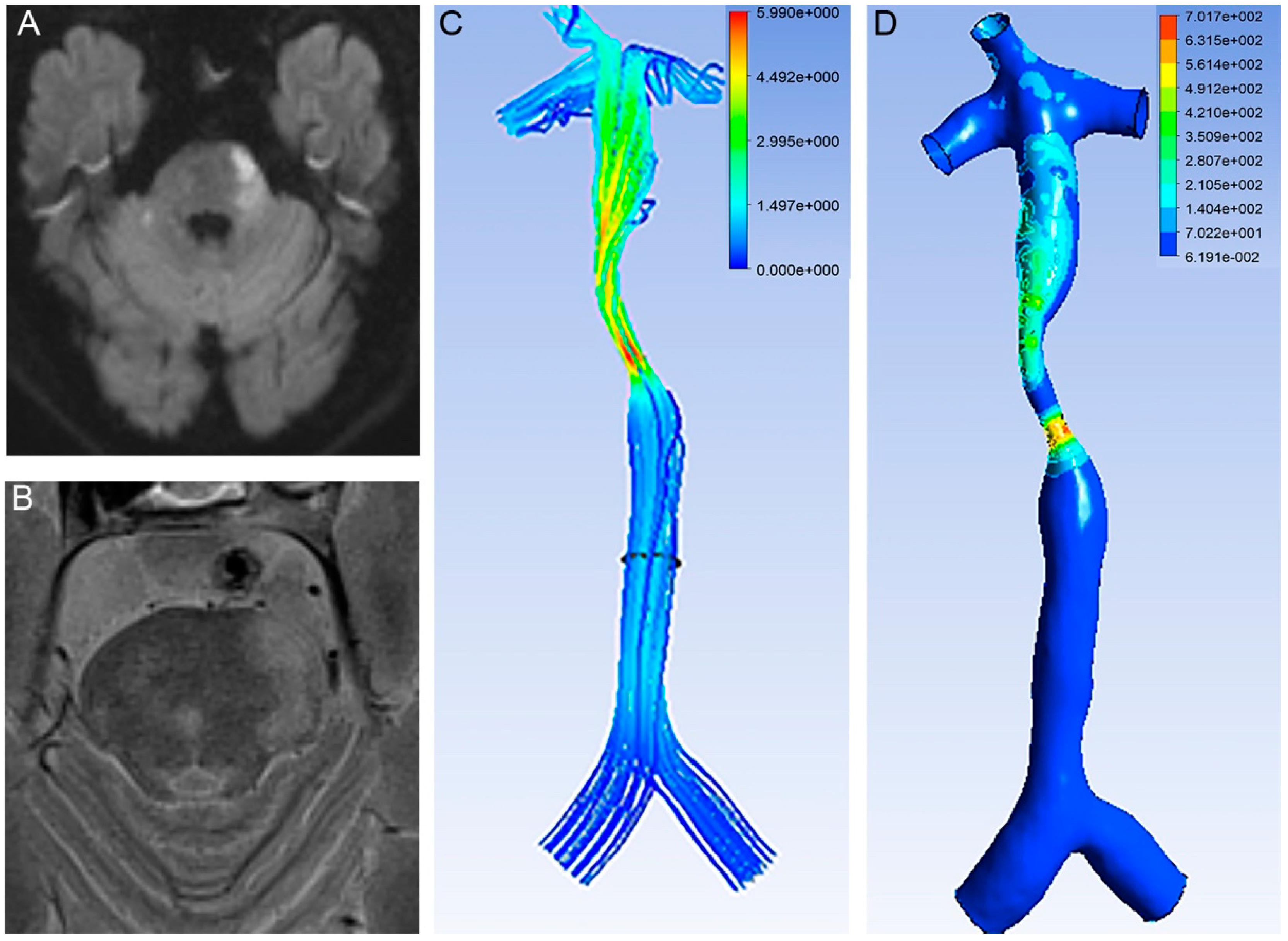 Brainsci 12 01397 g003 Brainsci 12 01397 g003