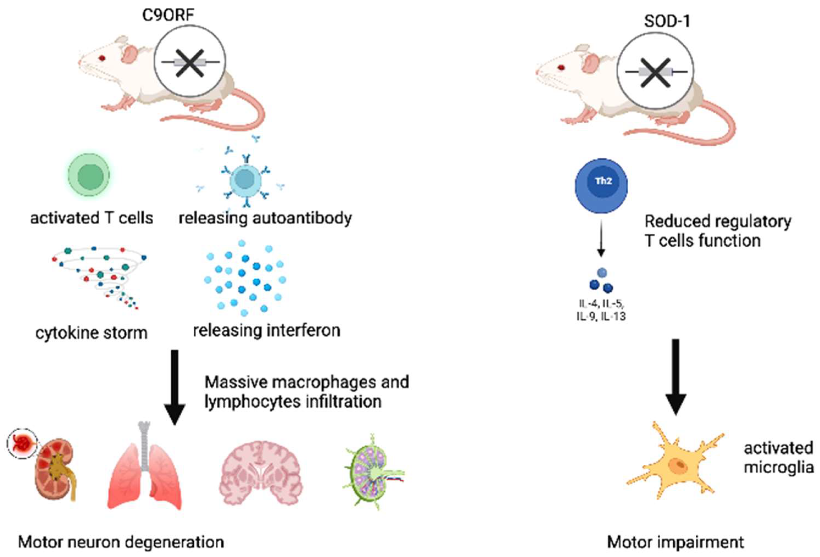Brainsci 12 01412 g002 Brainsci 12 01412 g002