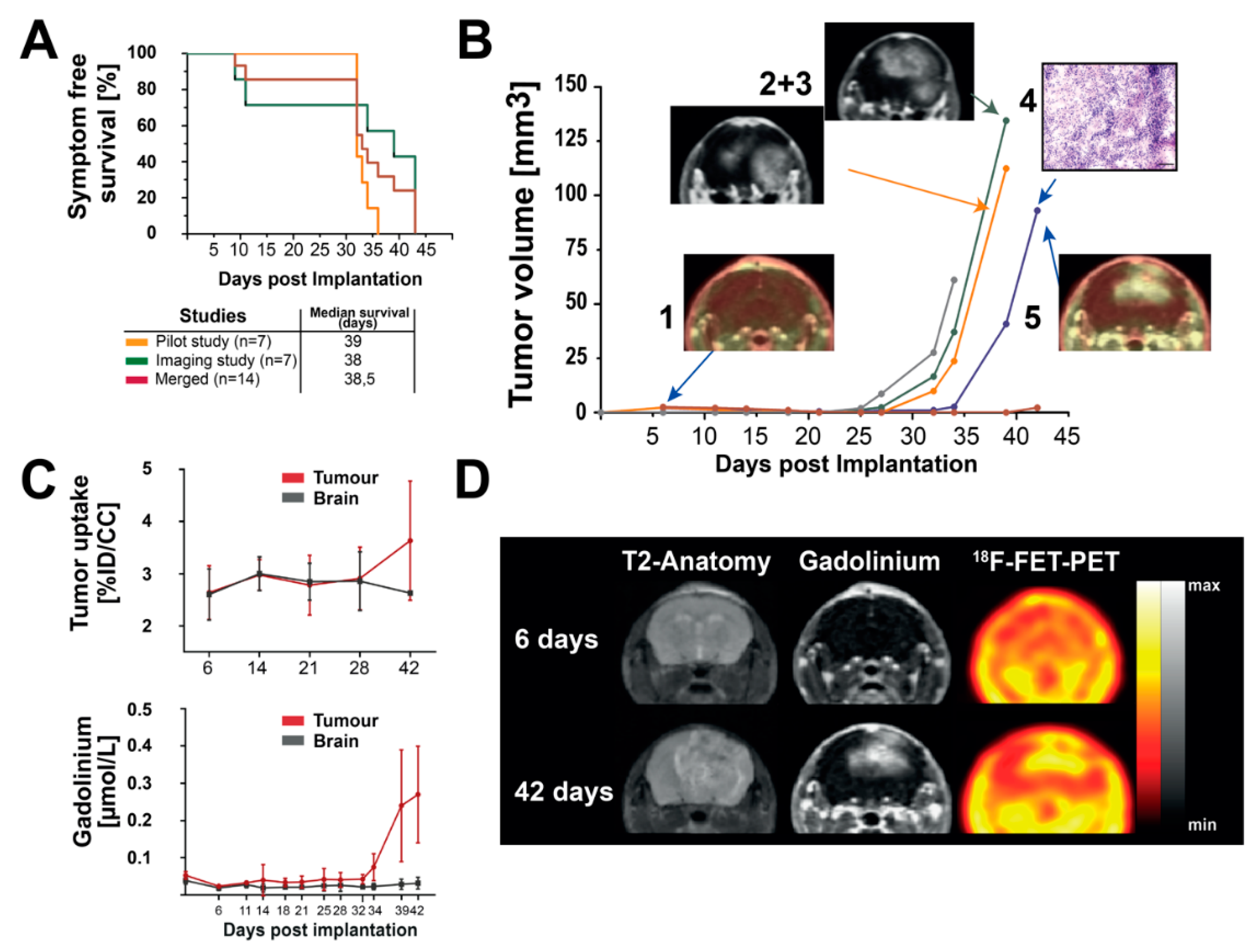 Brainsci 12 01426 g003 Brainsci 12 01426 g003