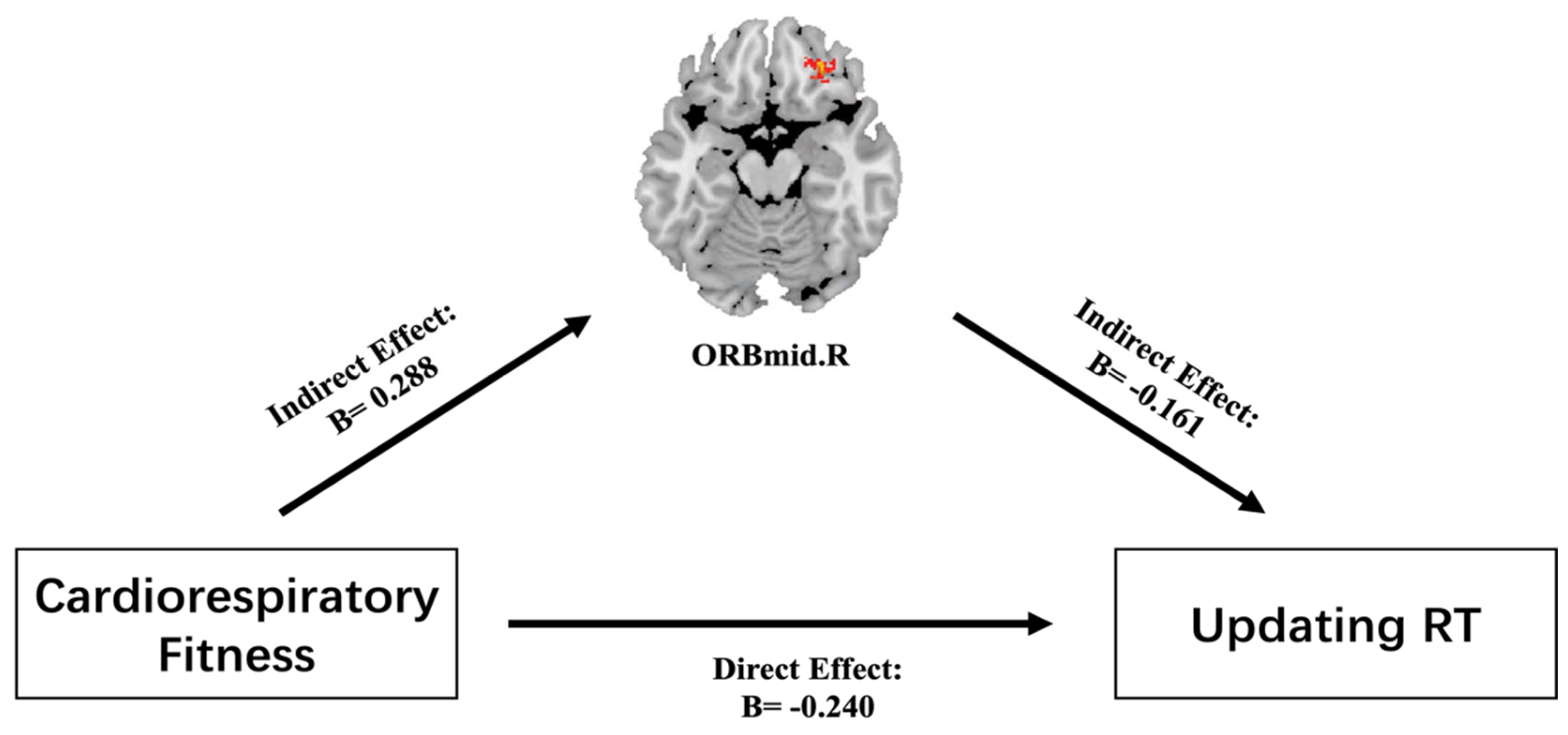 Brainsci 12 01441 g003 Brainsci 12 01441 g003