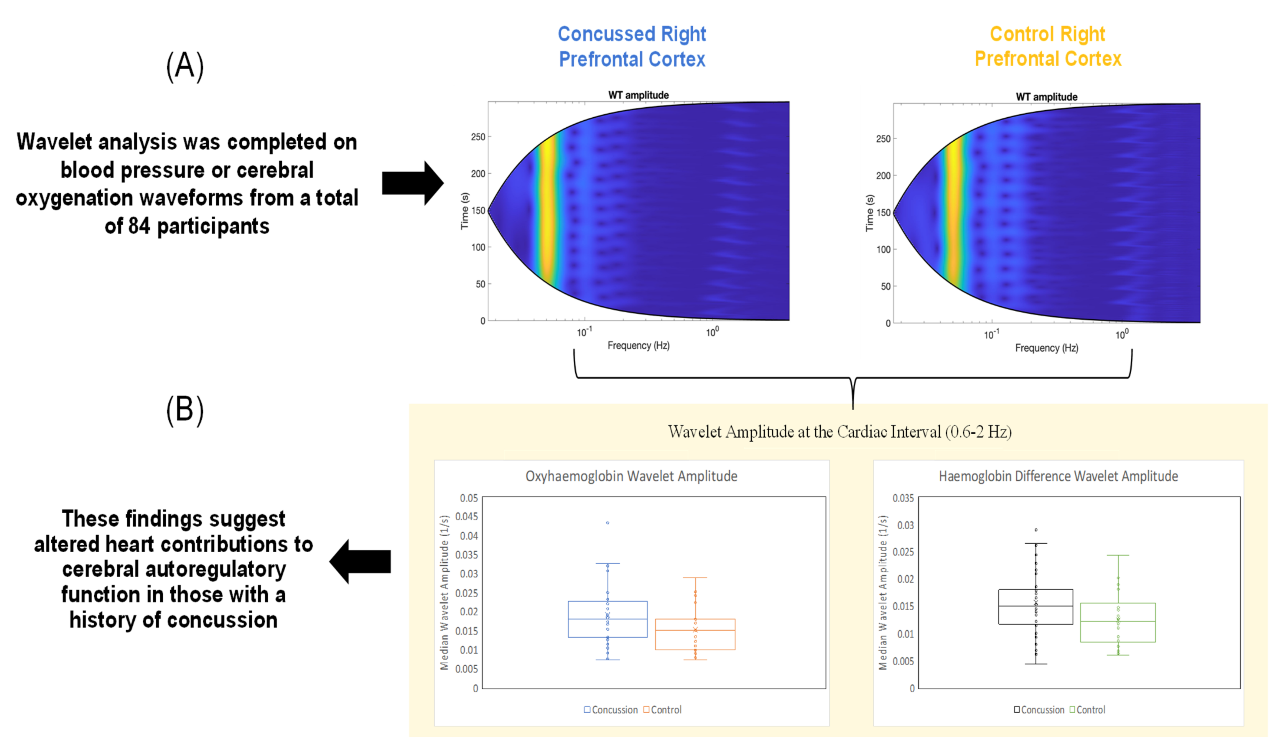 Brainsci 12 01443 g001