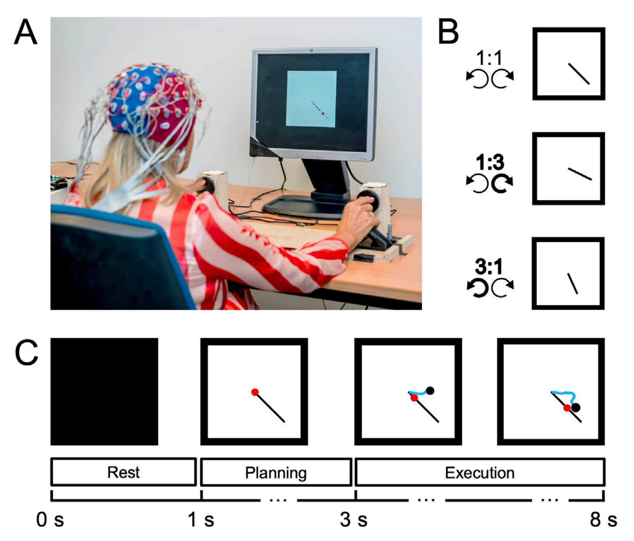 Brainsci 12 01444 g001 Brainsci 12 01444 g001
