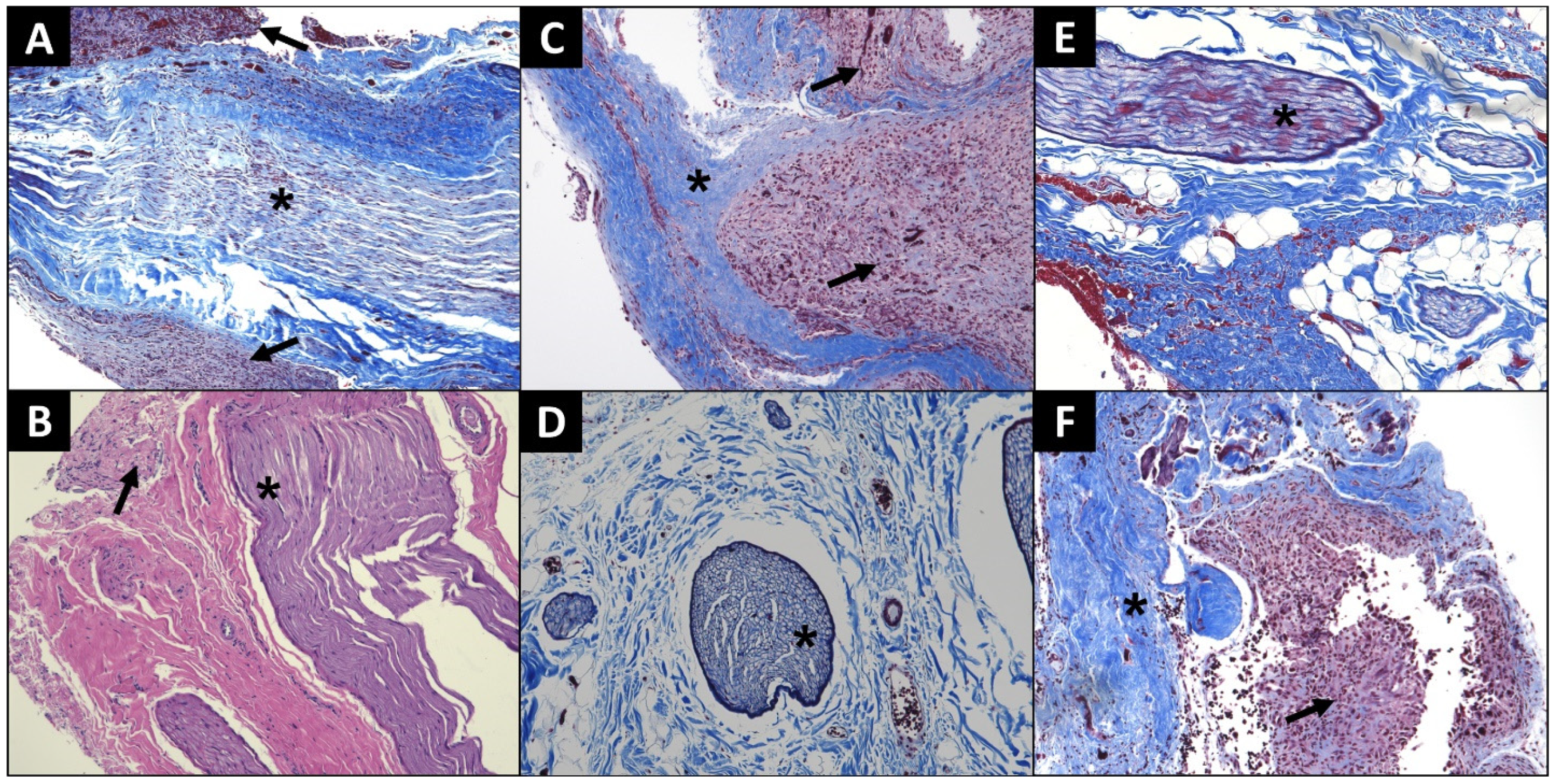 Brainsci 12 01457 g005