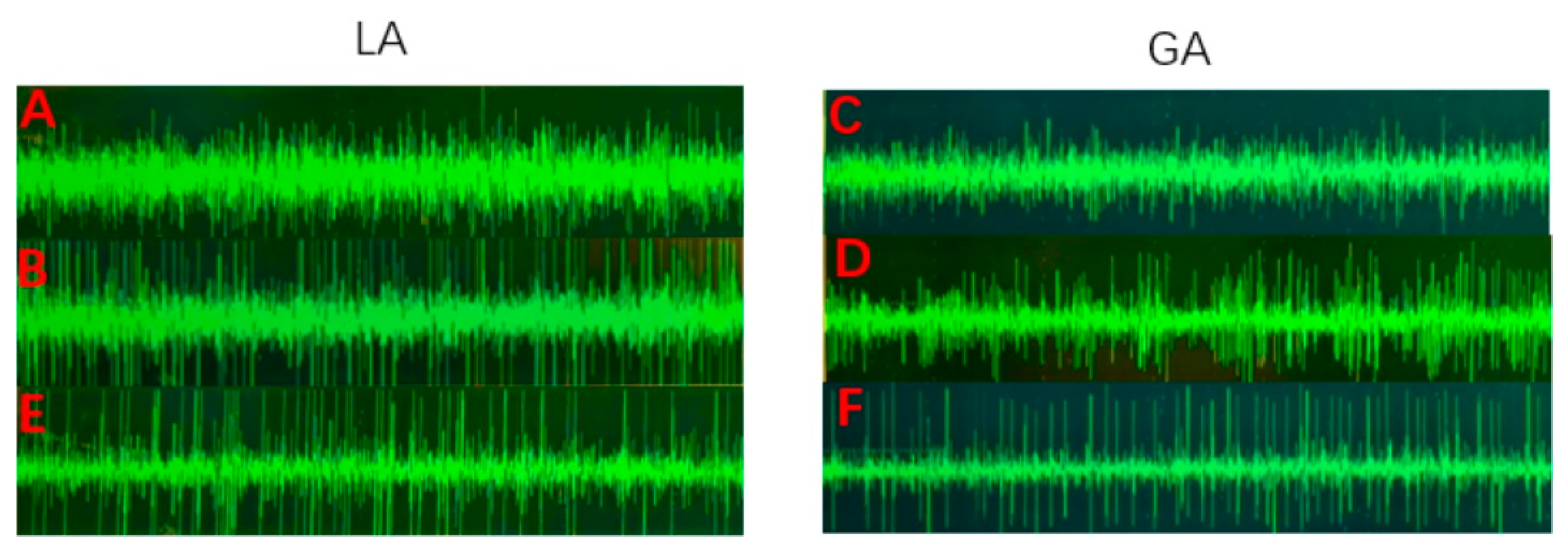 Brainsci 12 01469 g002 Brainsci 12 01469 g002