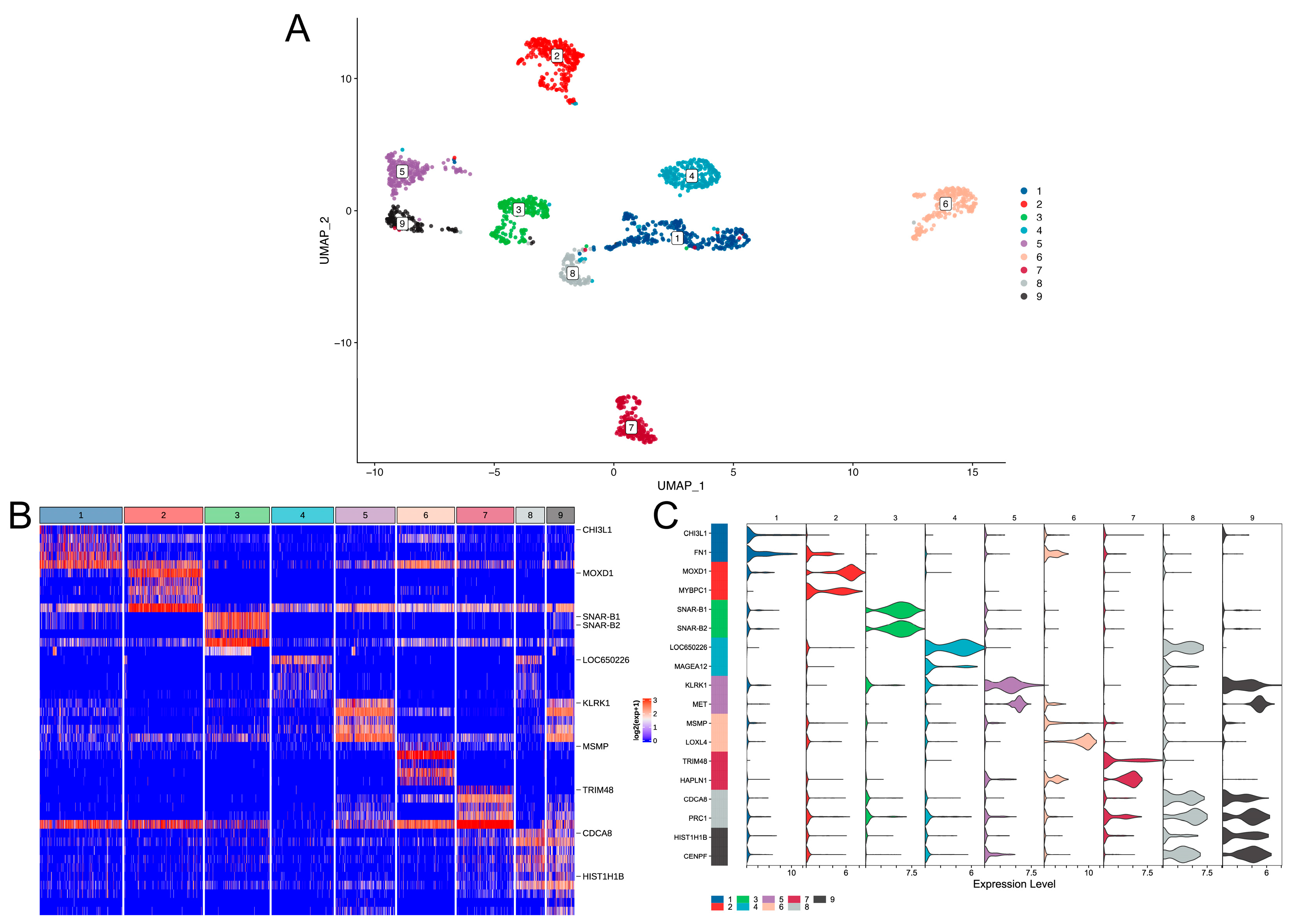 Brainsci 12 01472 g002