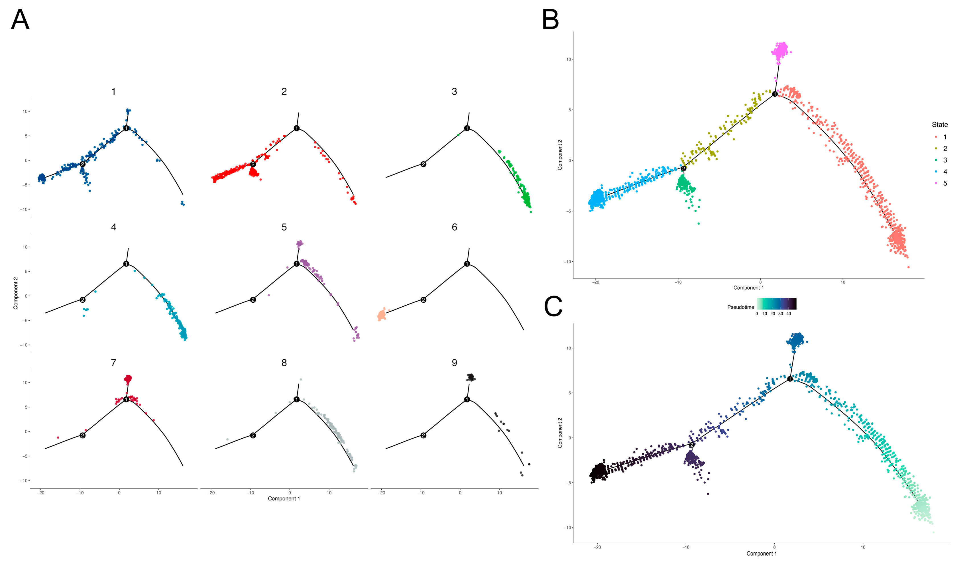 Brainsci 12 01472 g004