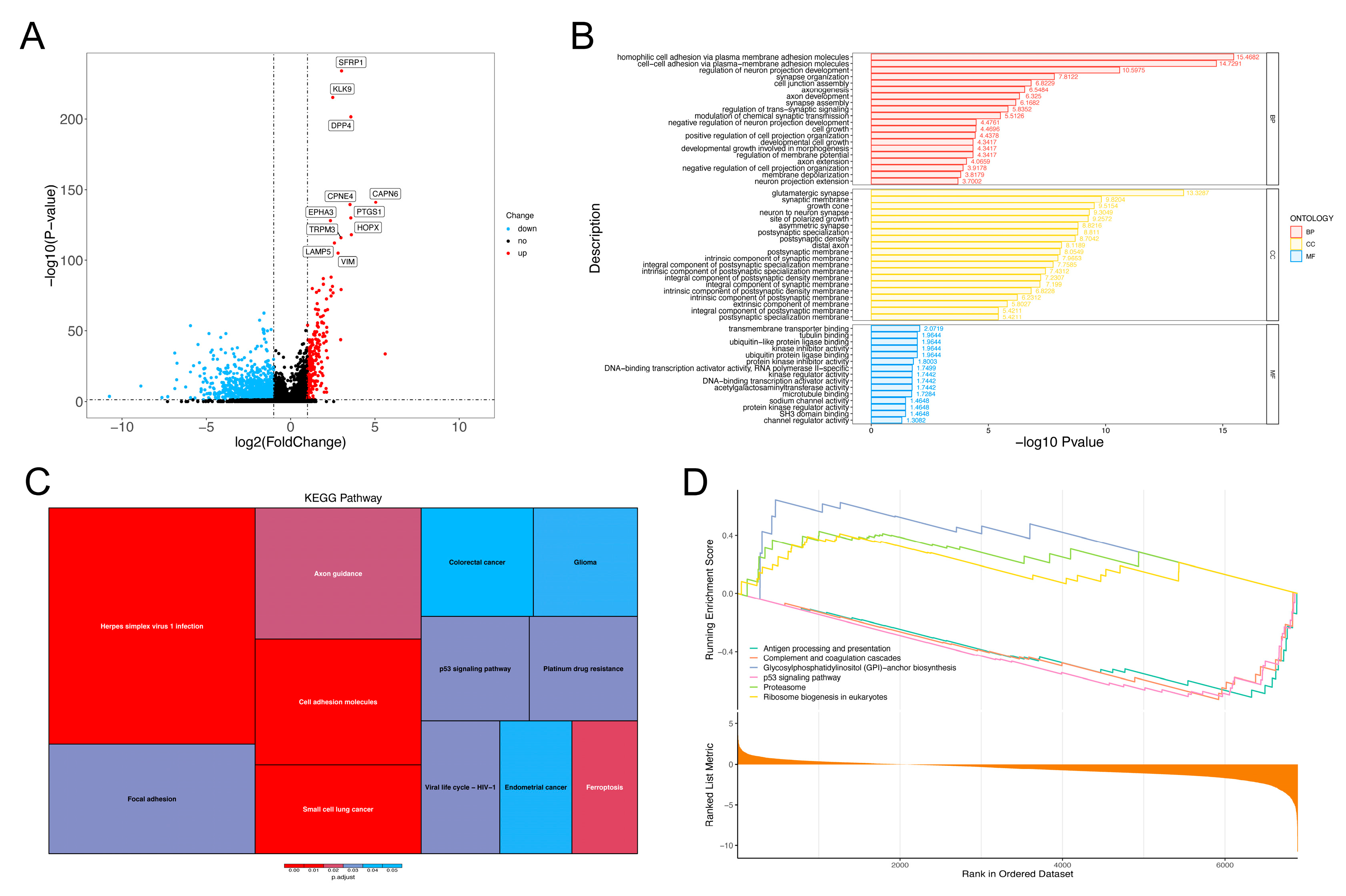 Brainsci 12 01472 g008