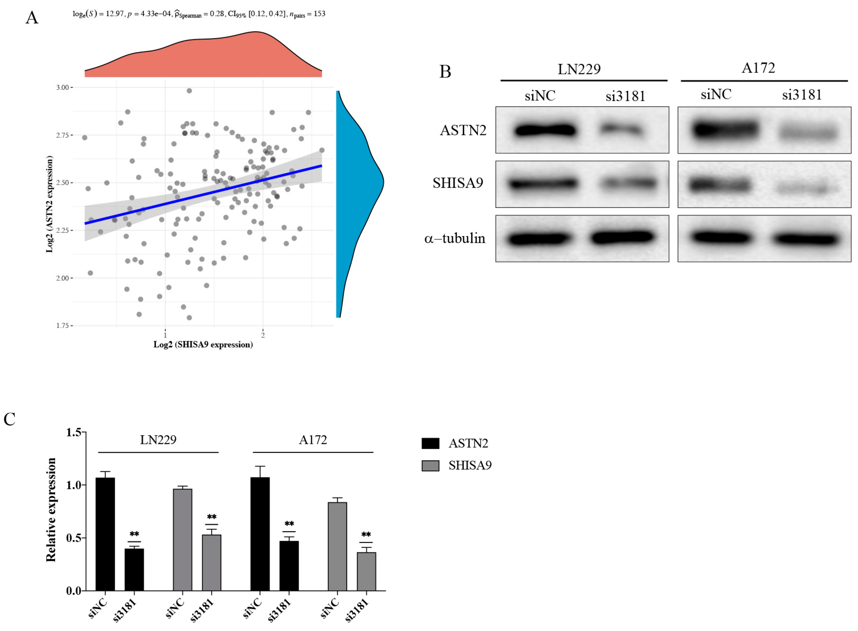 Brainsci 12 01472 g012