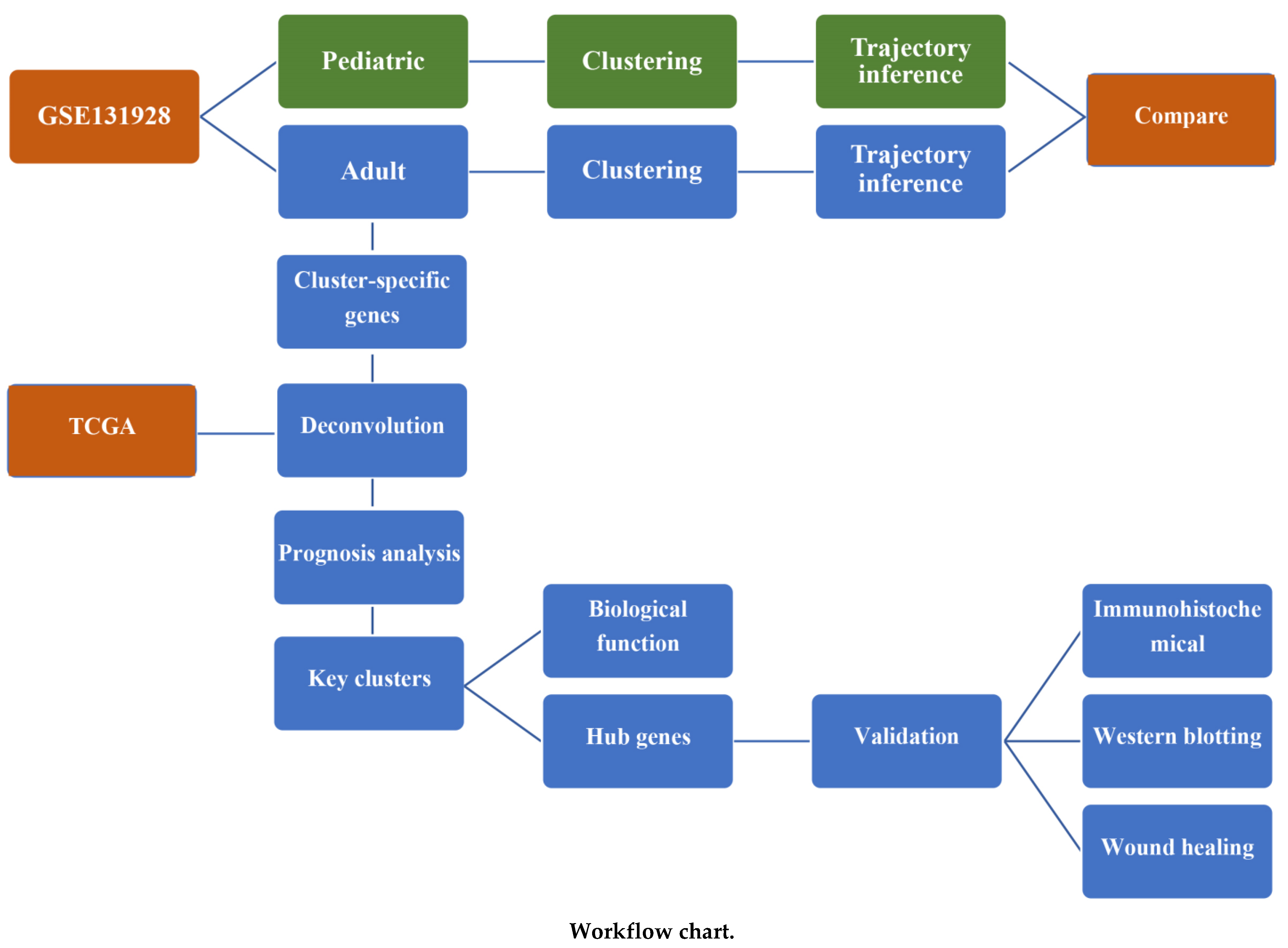 Brainsci 12 01472 i001