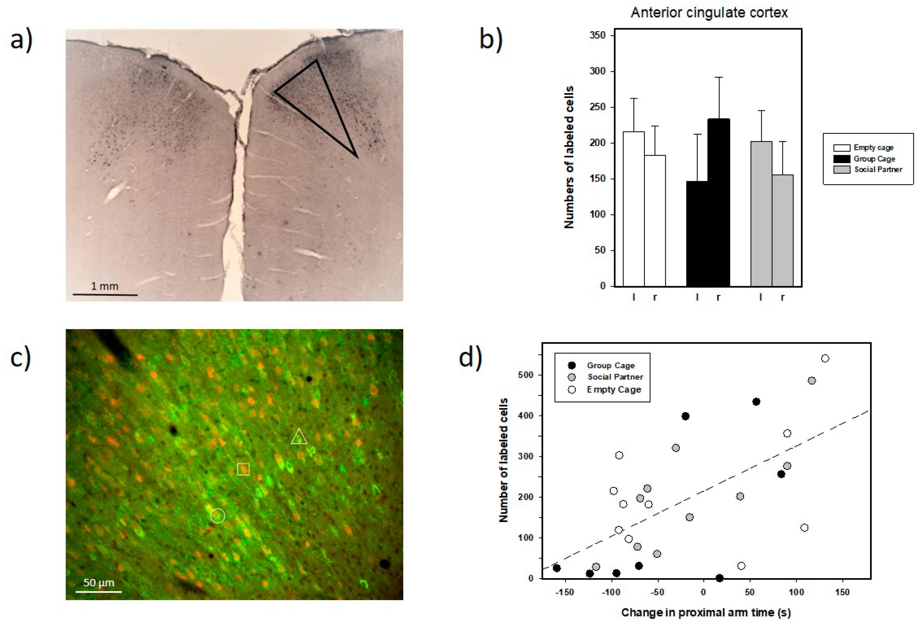 Brainsci 12 01474 g012 Brainsci 12 01474 g012